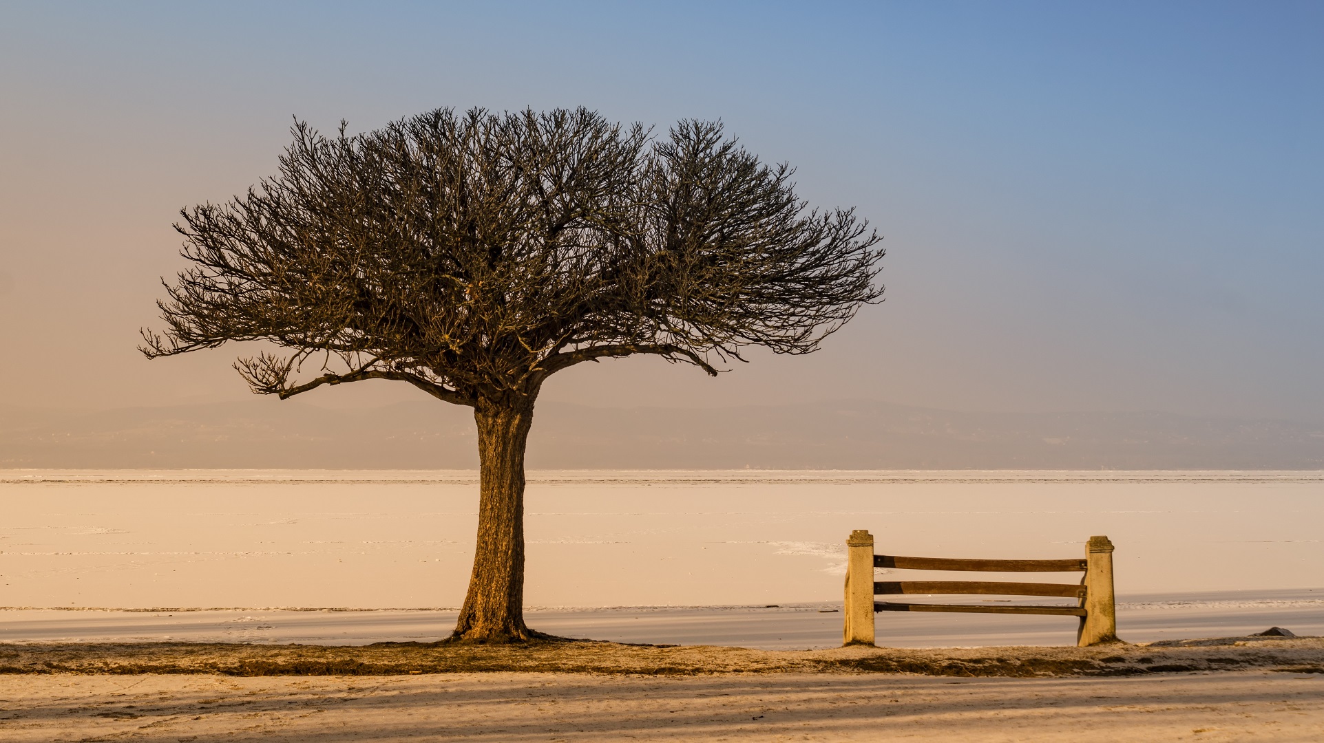 Solitary Tree and Bench in Winter HD Wallpaper