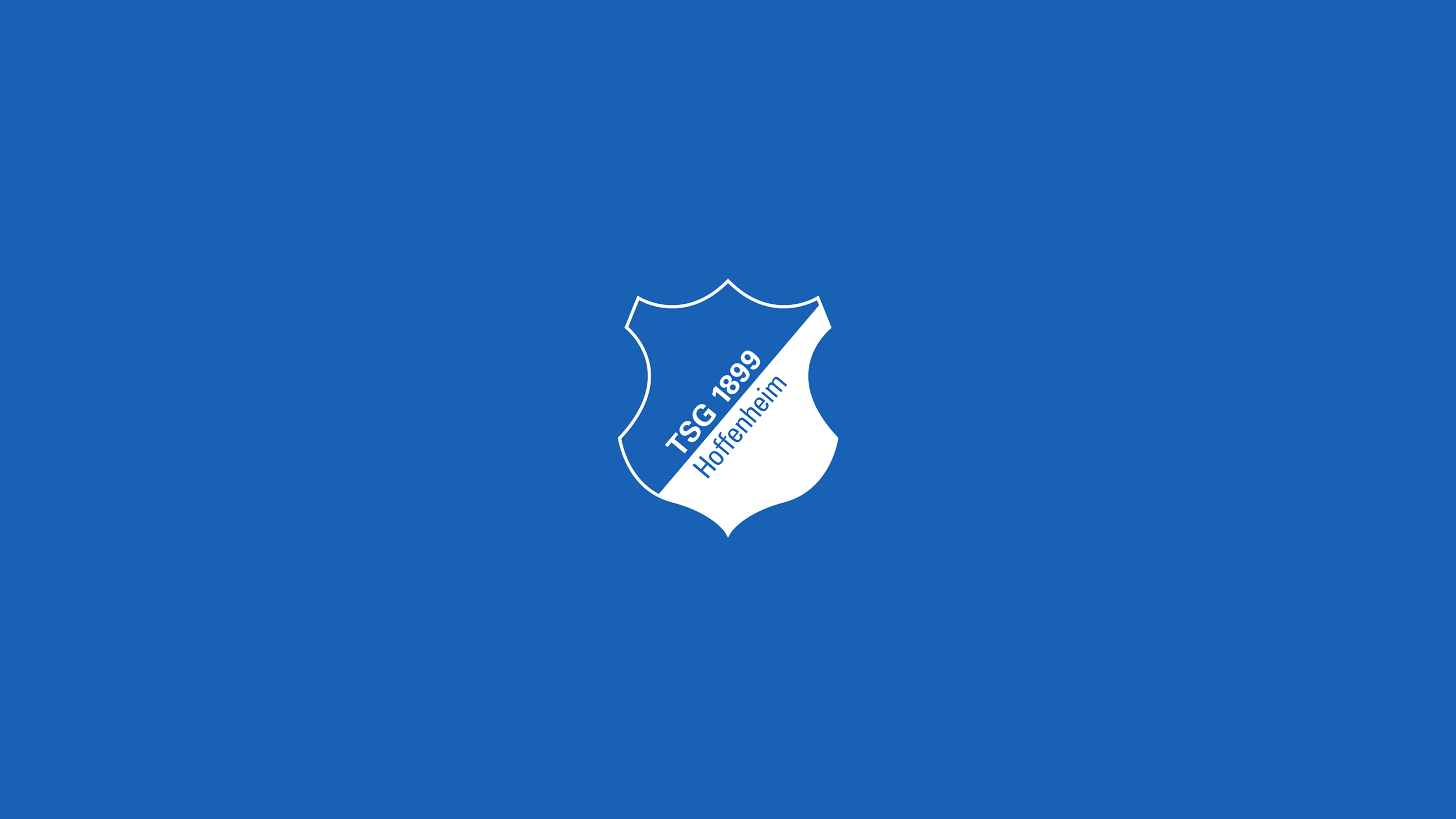 TSG 1899 Hoffenheim soccer logo HD Wallpaper