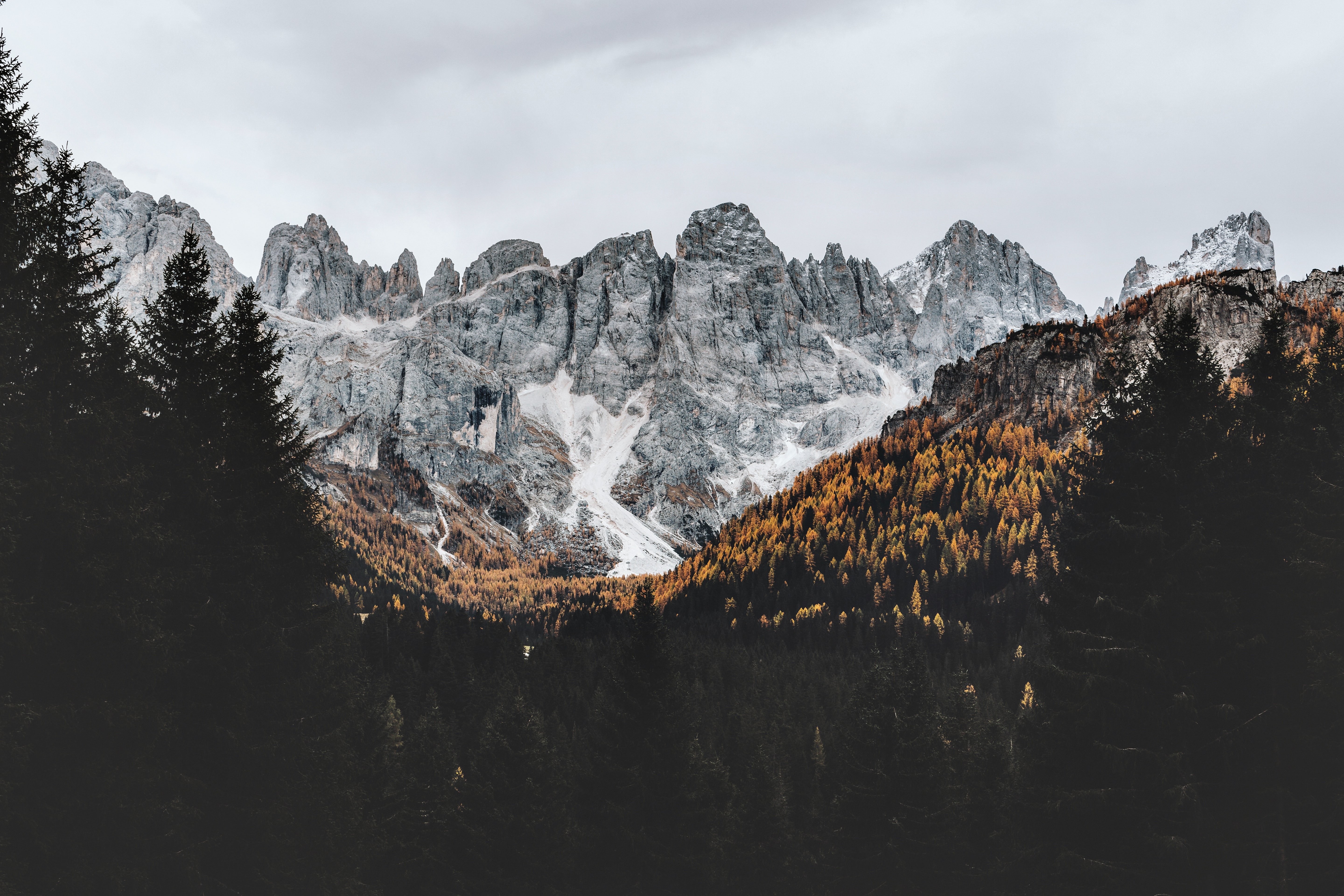 Rugged mountains and golden autumn forest HD Wallpaper