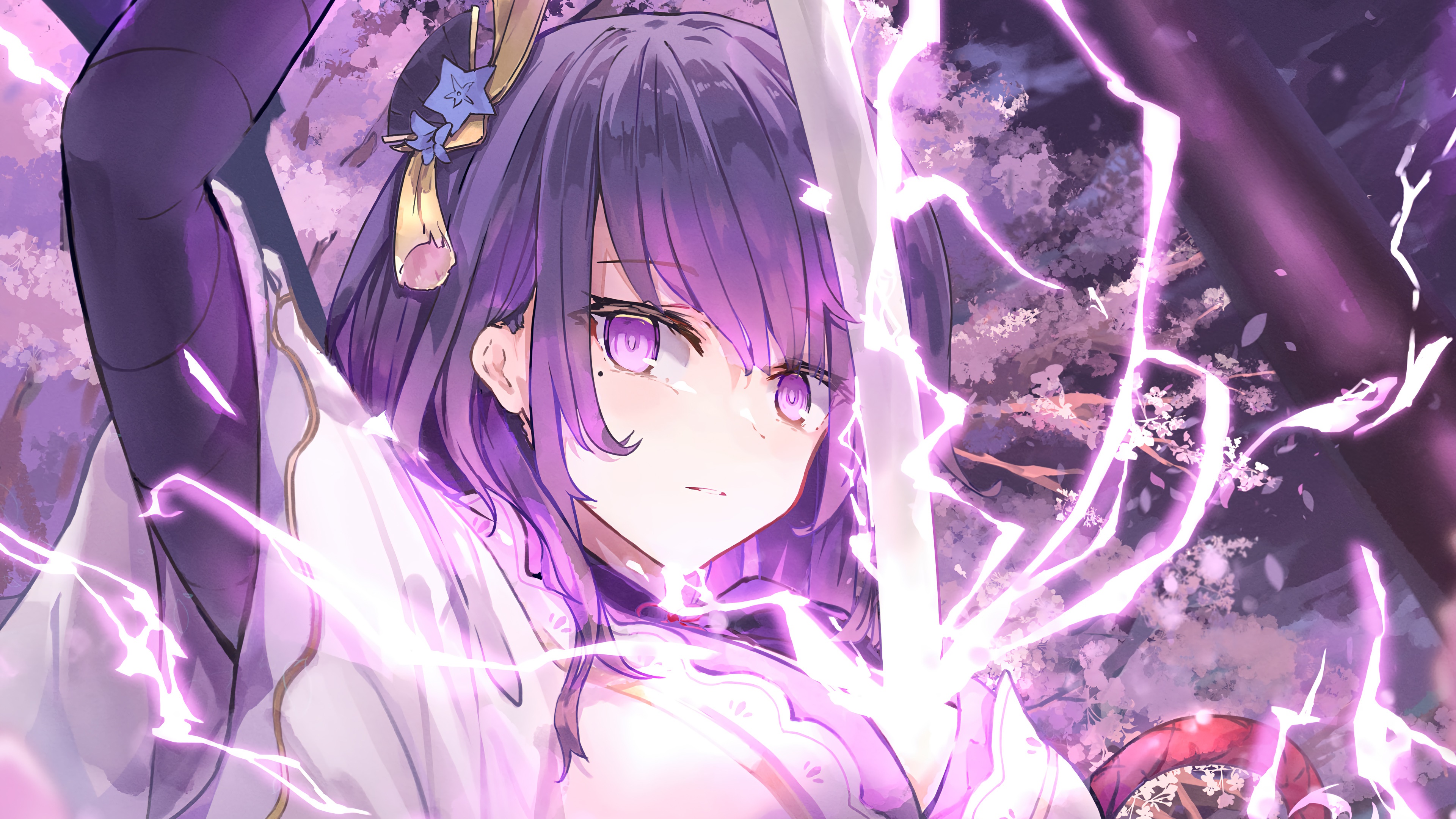 Raiden Shogun from Genshin Impact HD Wallpaper