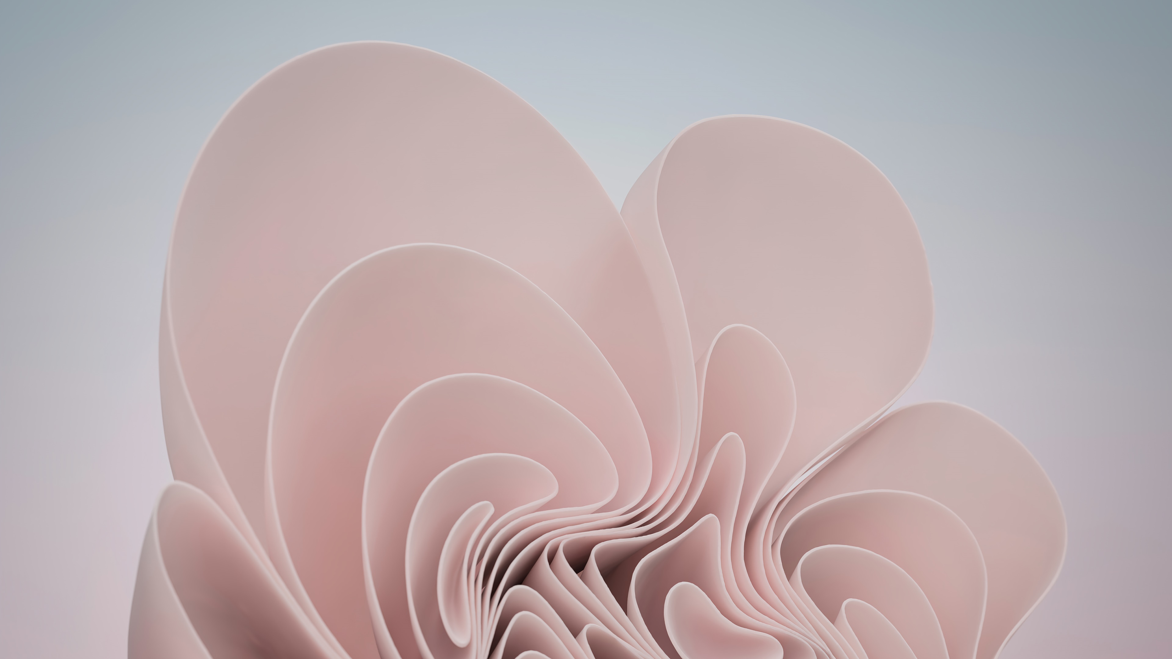 Windows 11 abstract pink and blue 4K HD Wallpaper