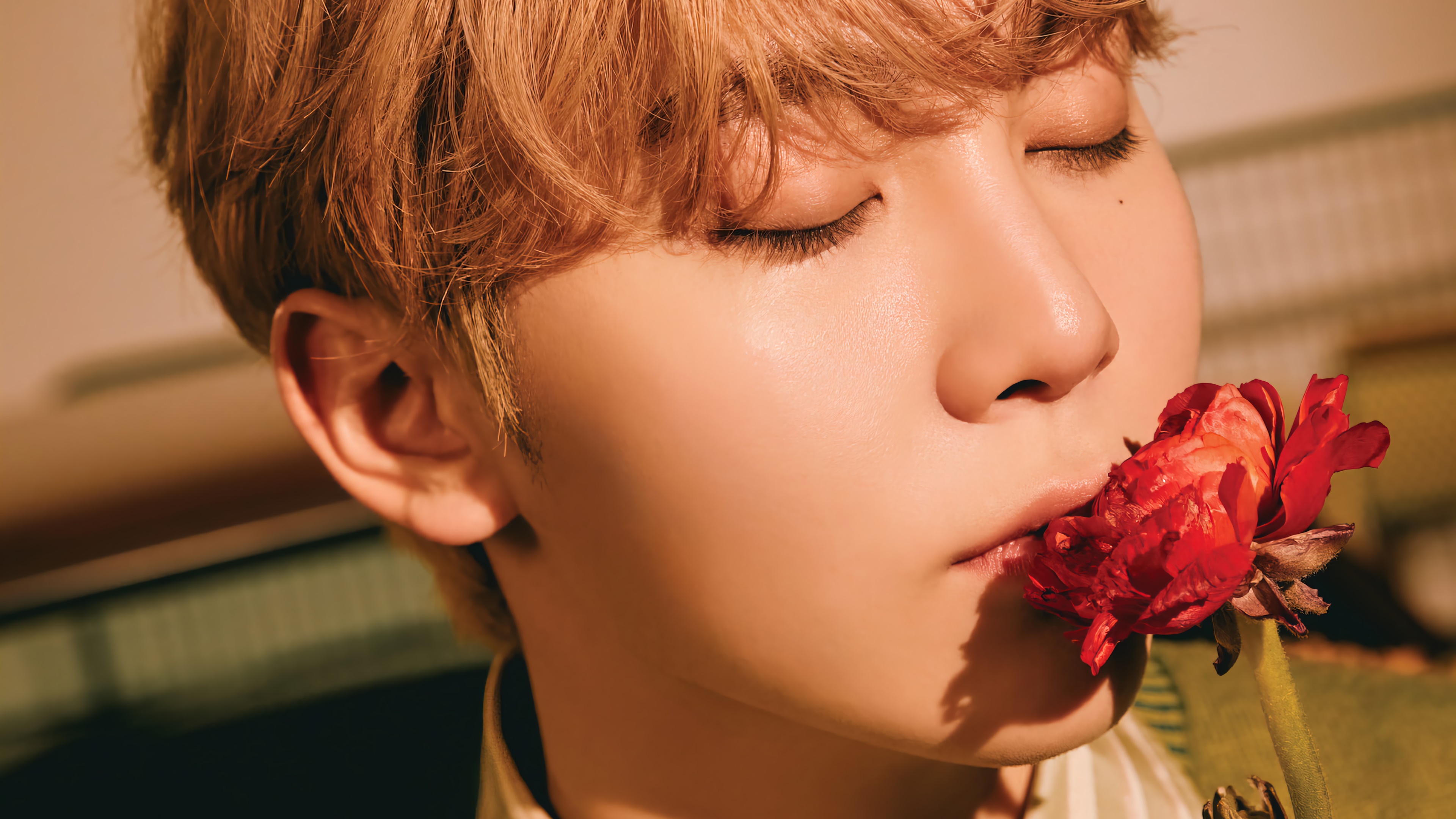 Seungkwan from Seventeen with a red flower HD Wallpaper