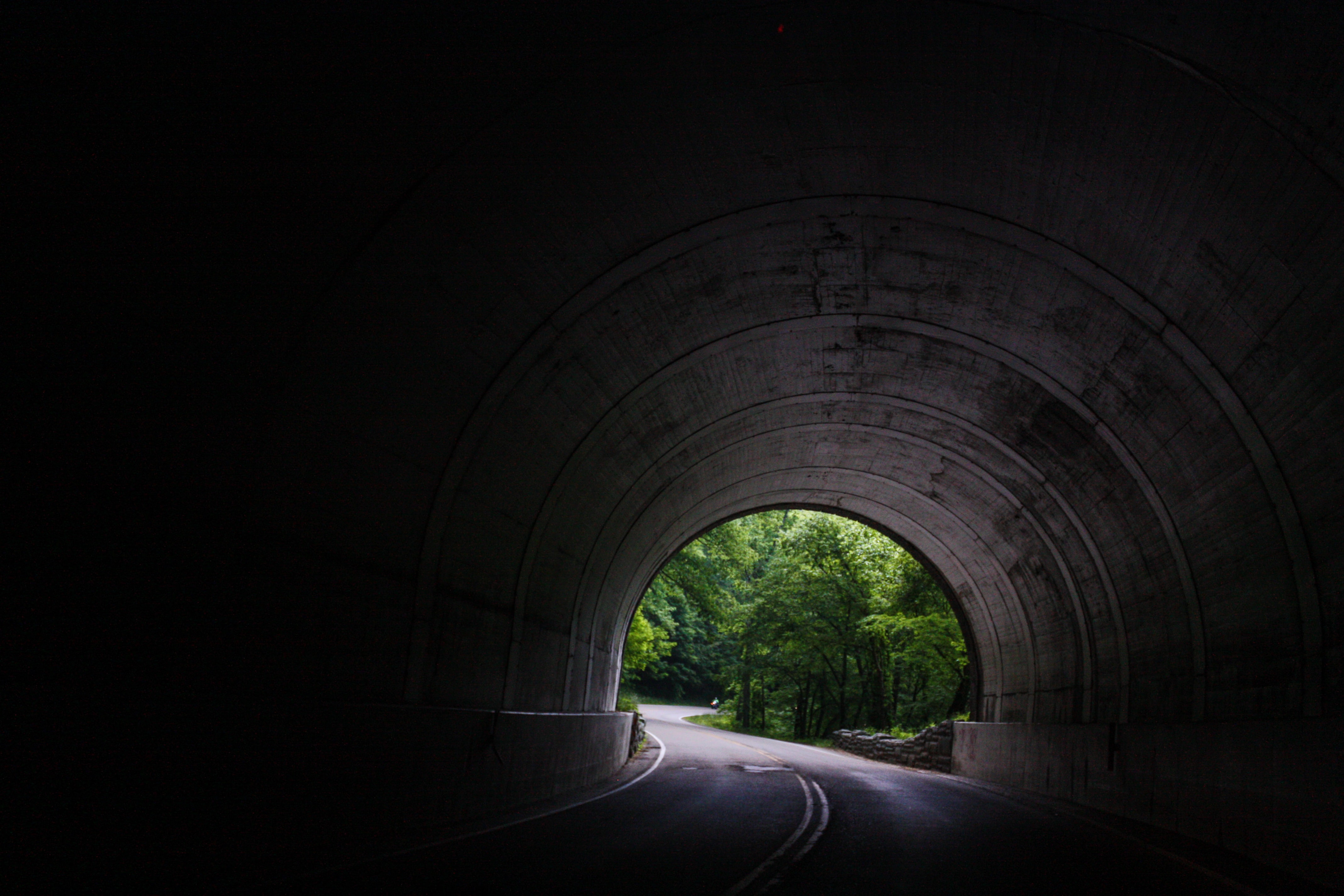 Tunnel exit to a lush green forest road HD Wallpaper