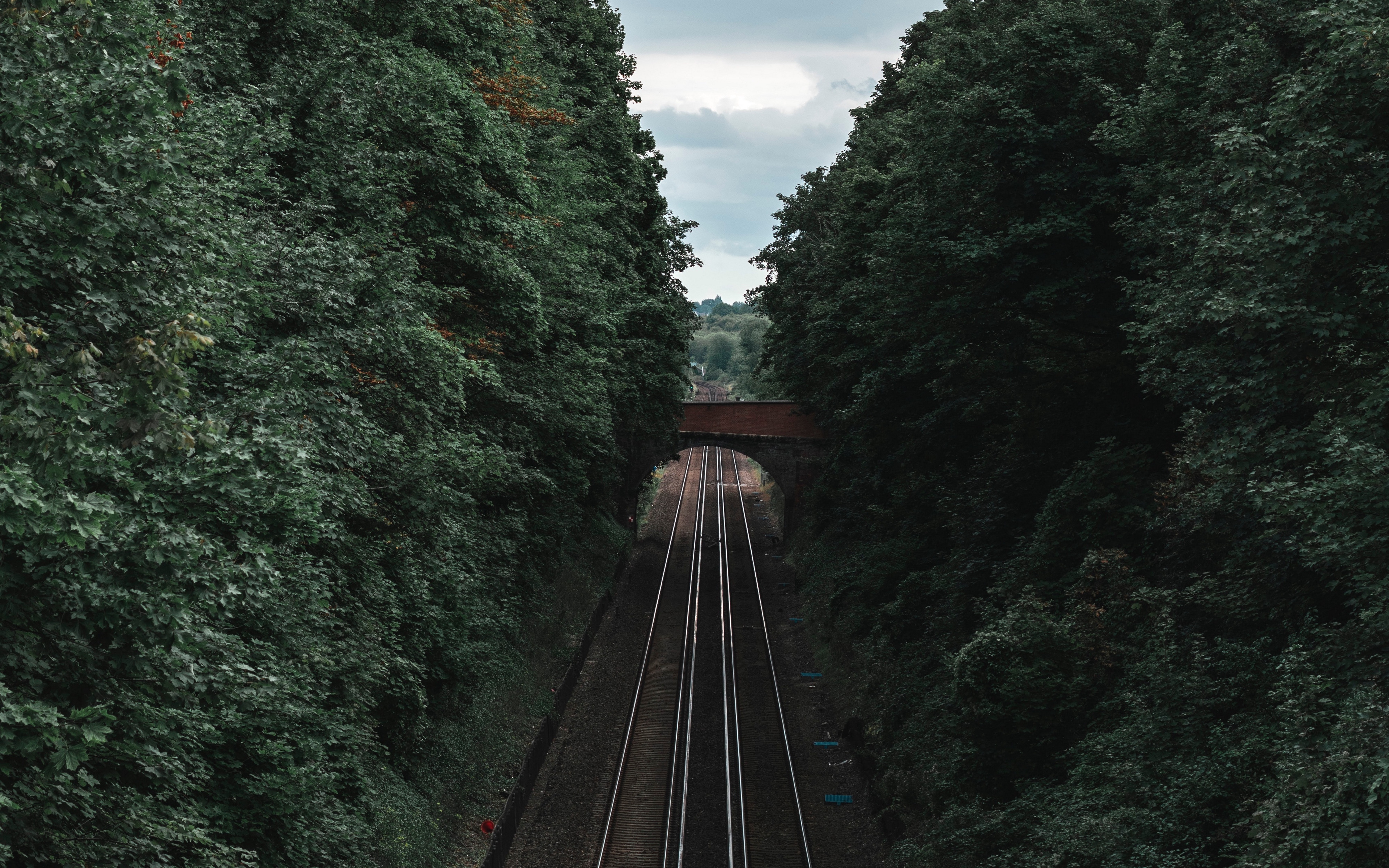 Train tracks through a lush green forest under a bridge HD Wallpaper