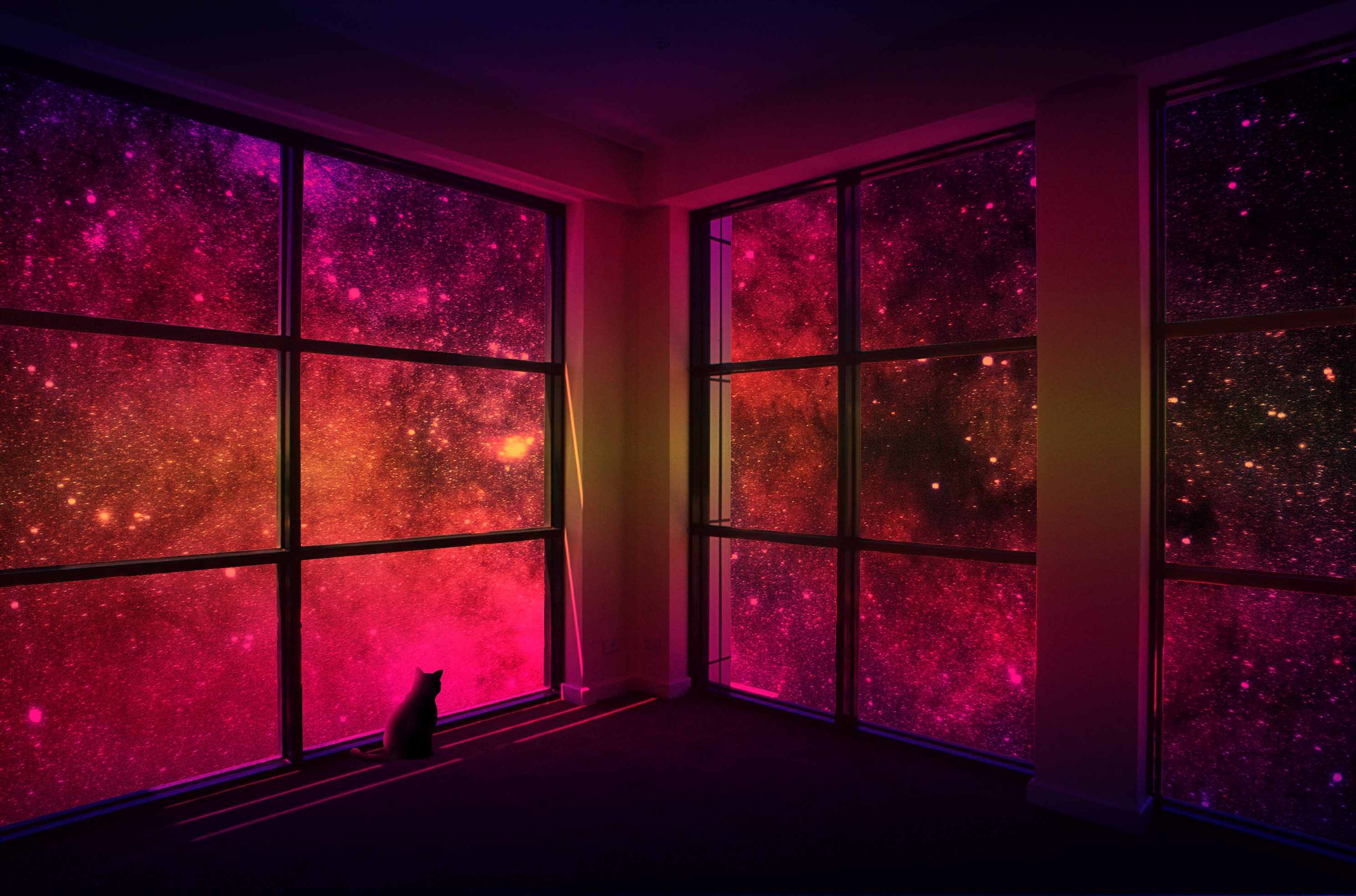 Cat looking out a window at a galaxy HD Wallpaper