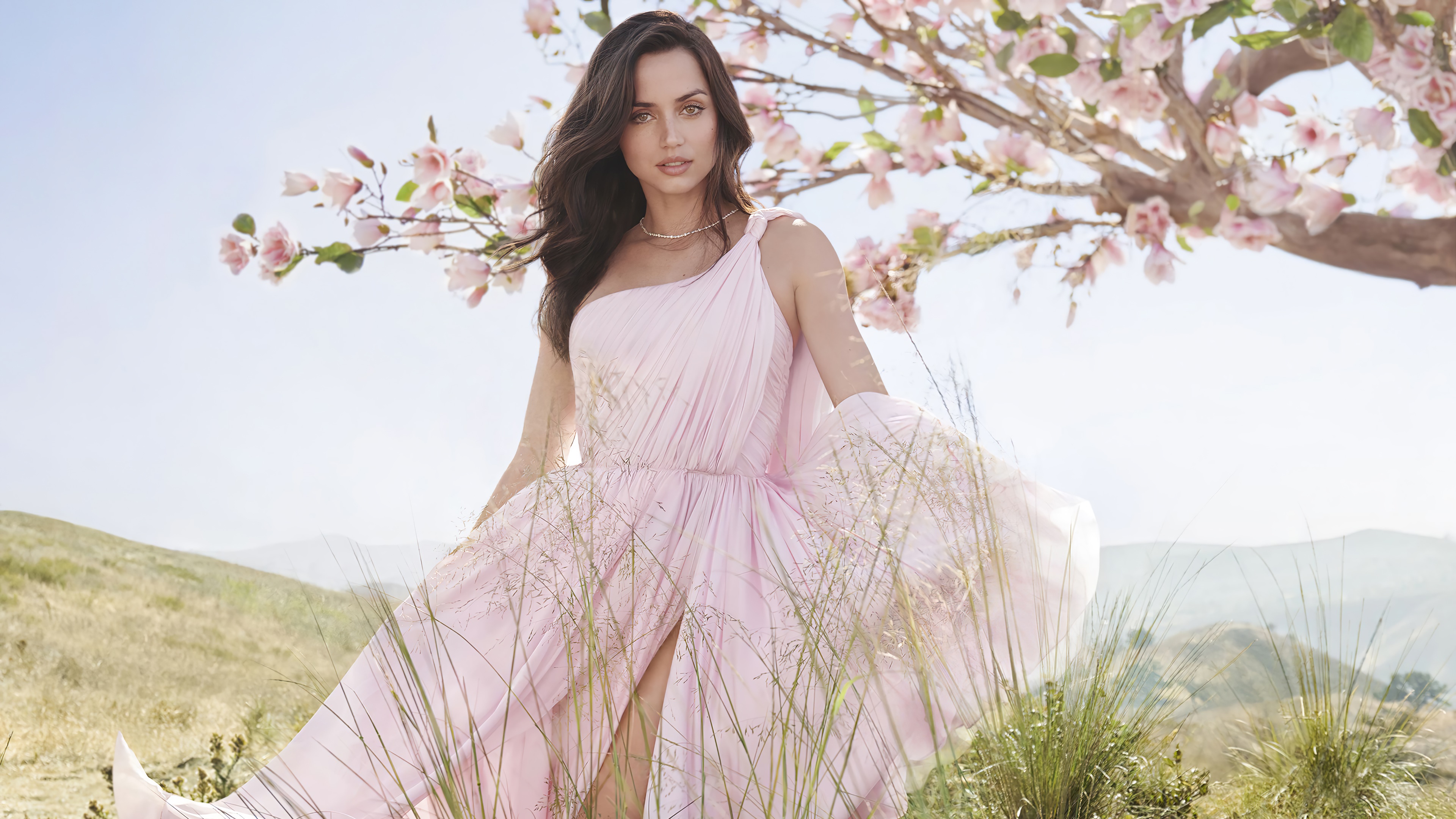 Ana de Armas in a pink dress with flowers 4K HD Wallpaper