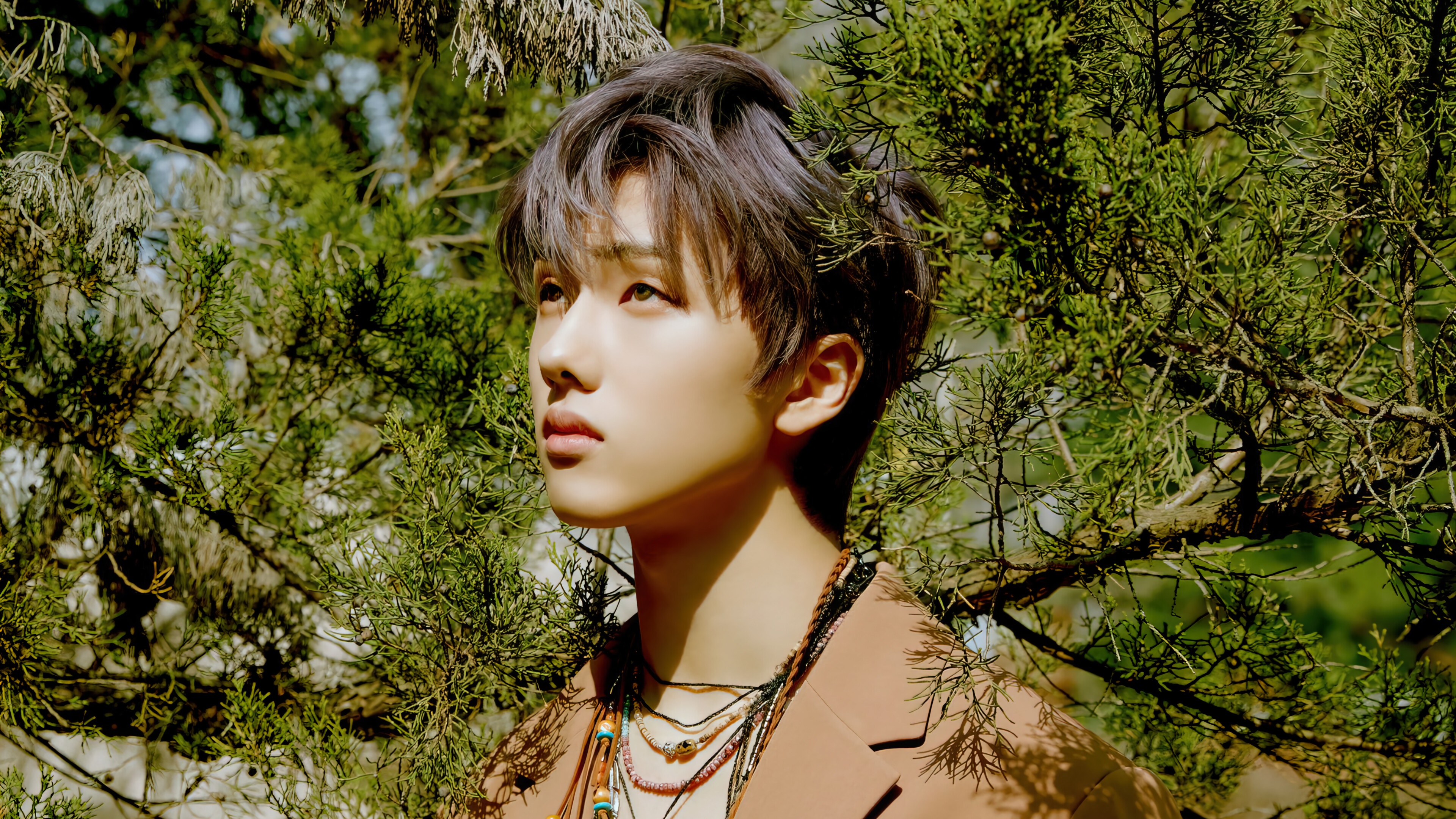 Jisung from NCT Dream in 4K HD Wallpaper