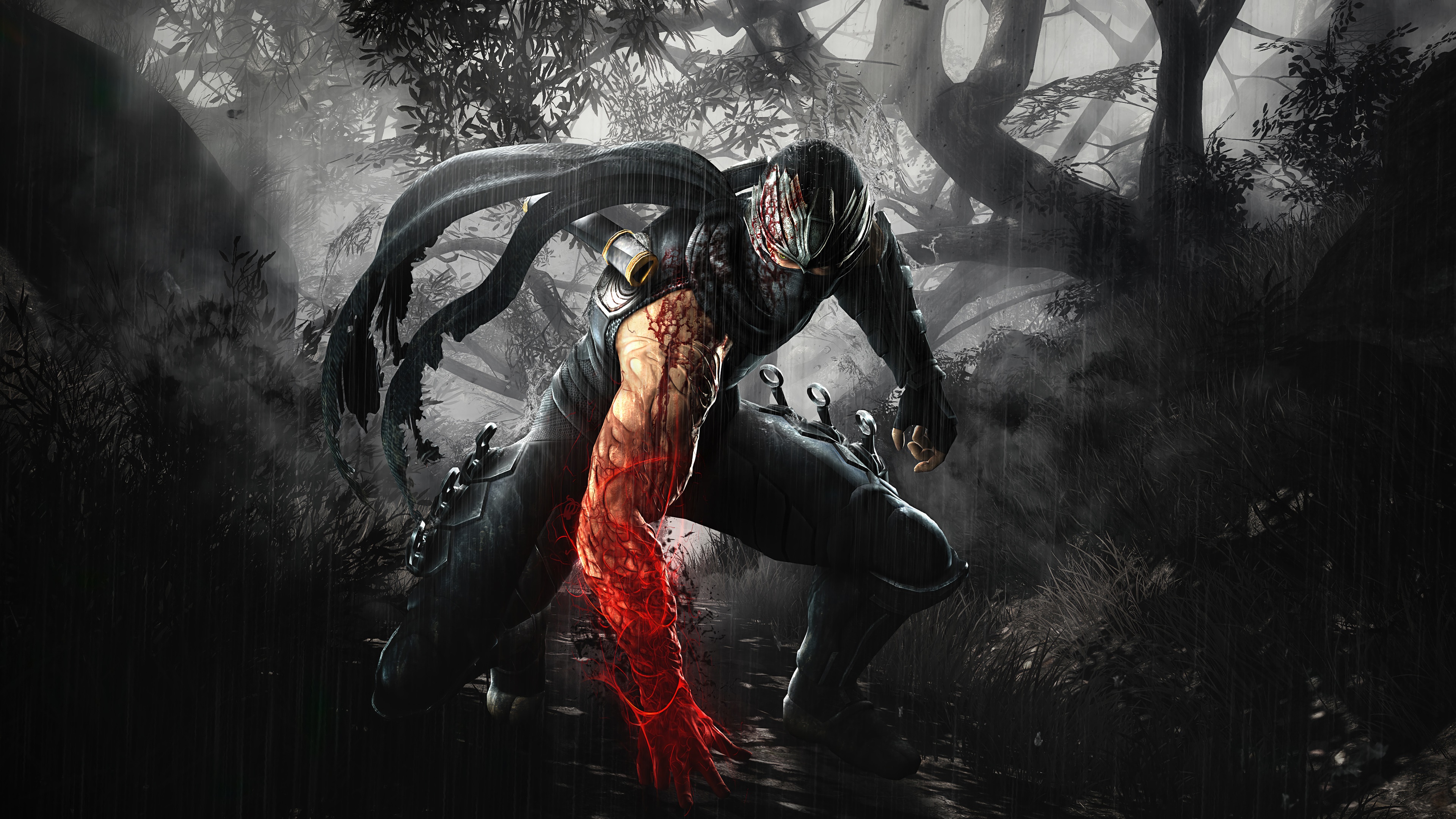 Ryu Hayabusa from Ninja Gaiden in 4K HD Wallpaper