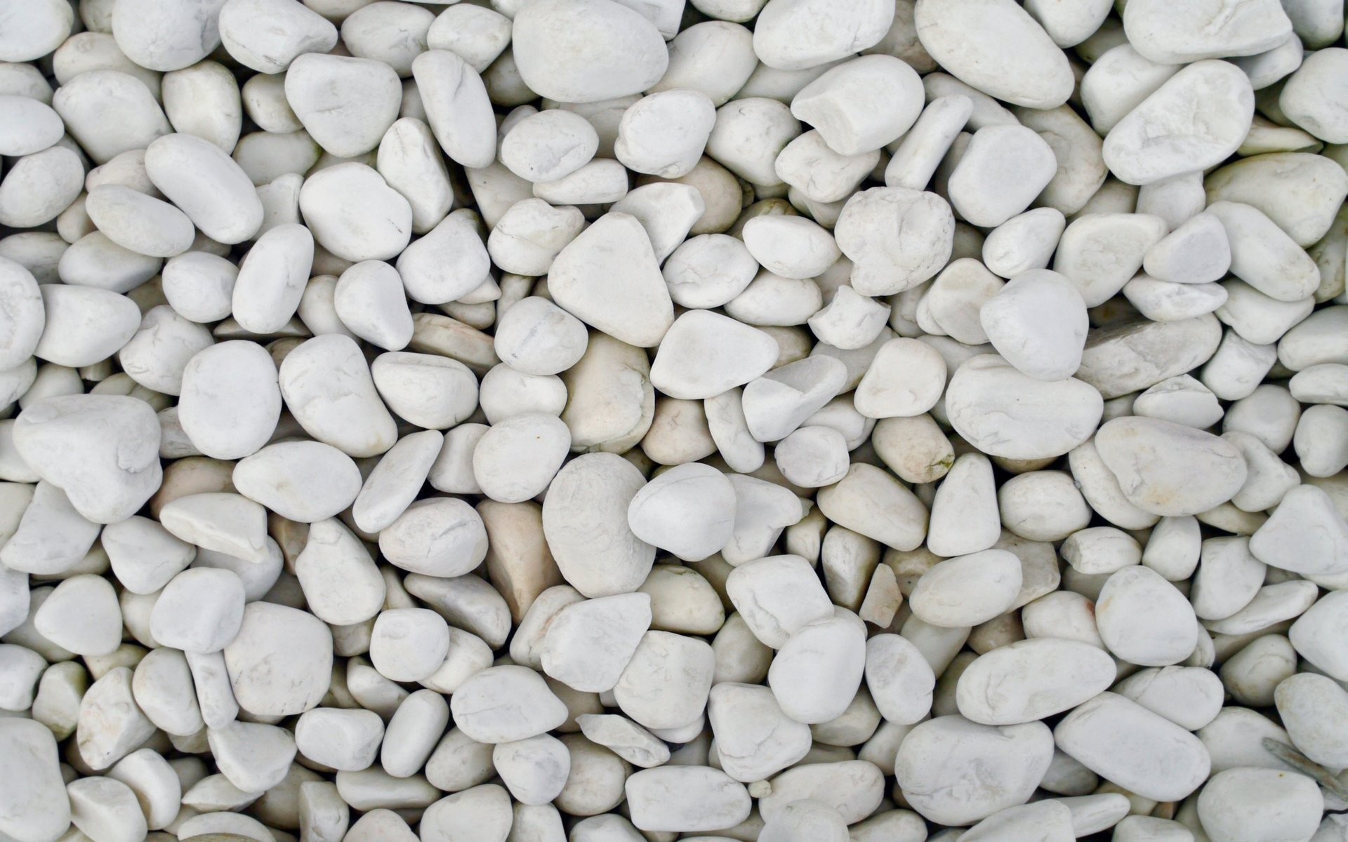 Close-up of smooth white river stones HD Wallpaper