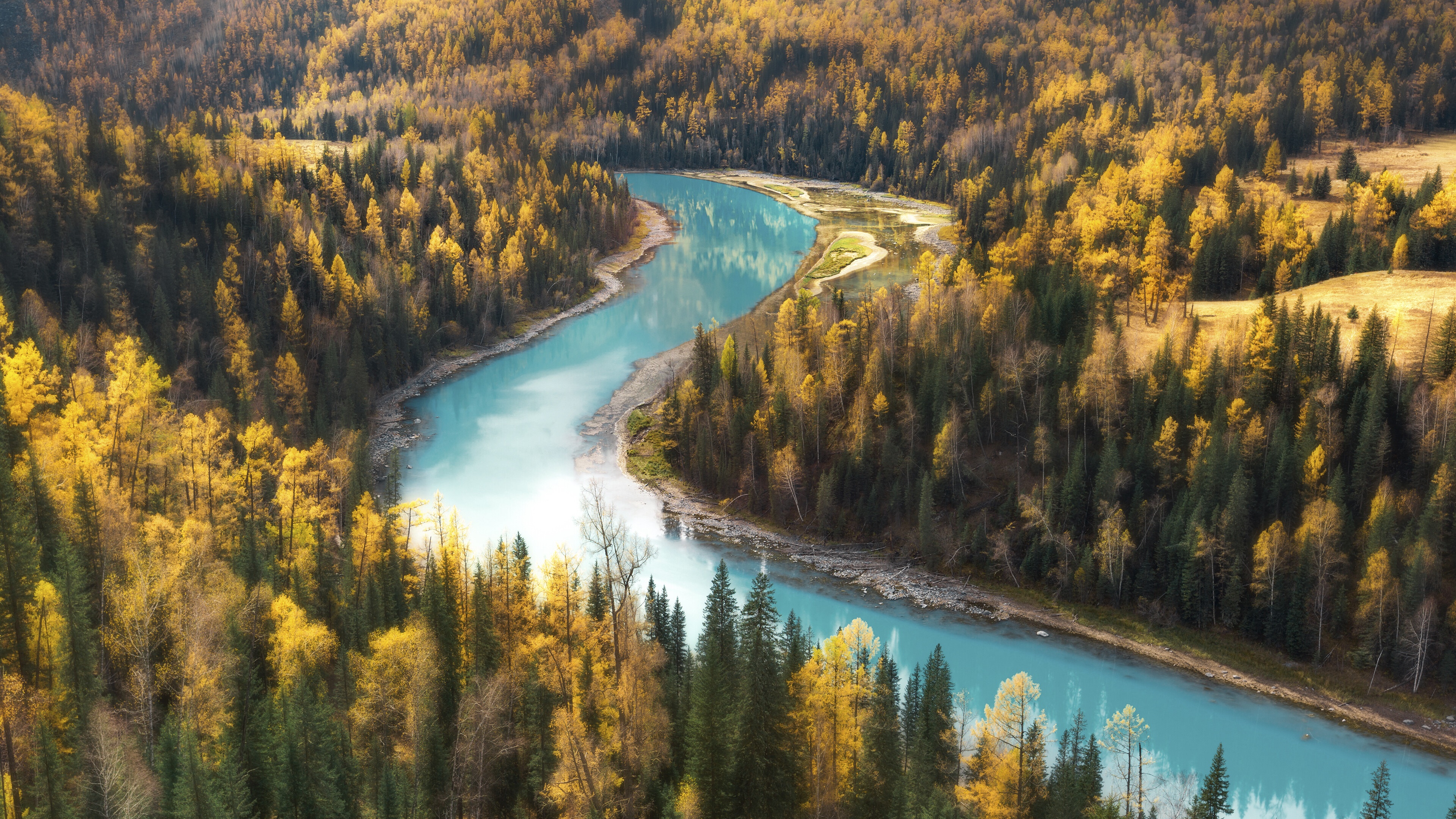 Turquoise river flowing through a golden autumn forest HD Wallpaper