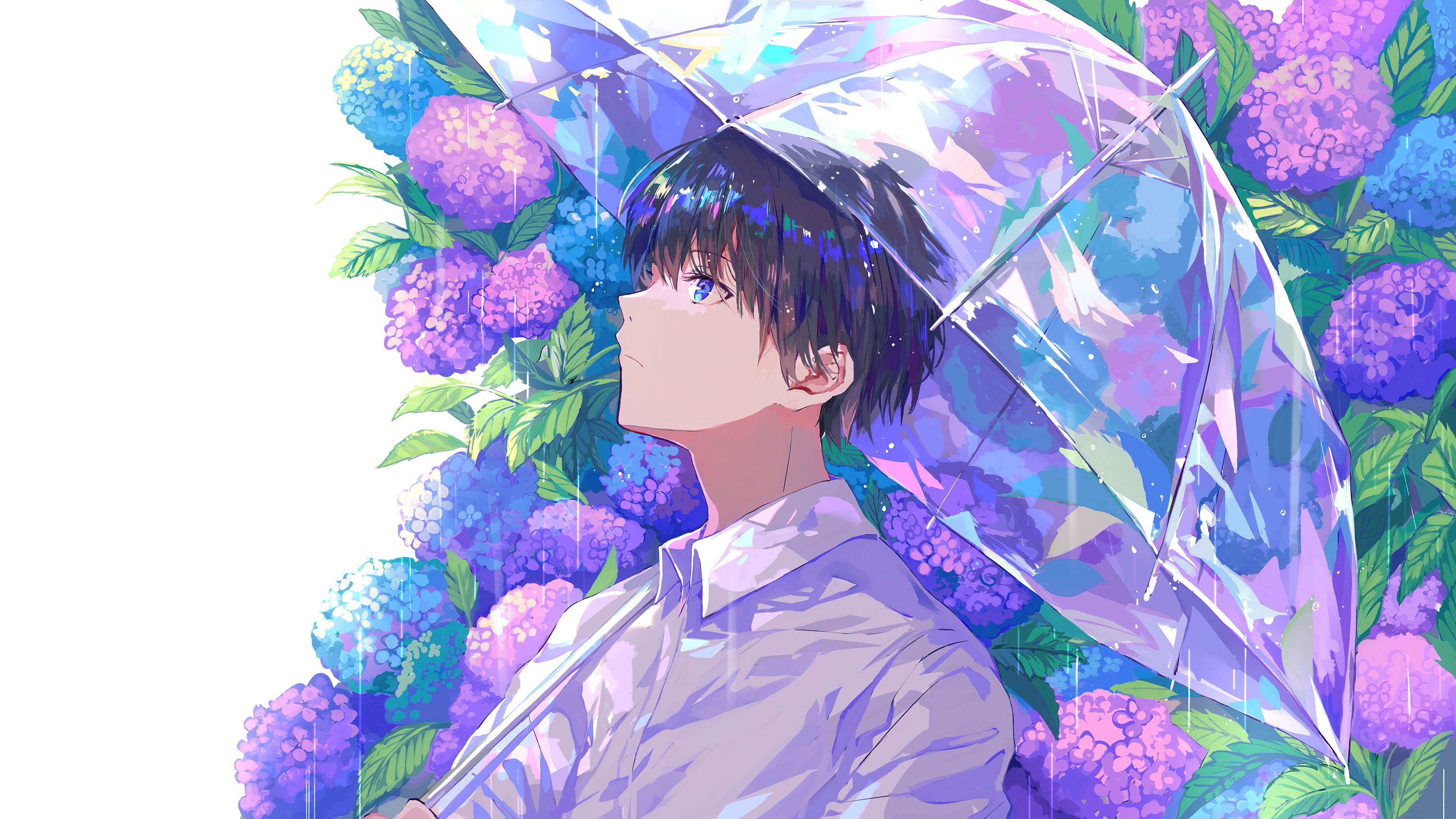 Anime guy with umbrella in rain and hydrangeas 4K HD Wallpaper