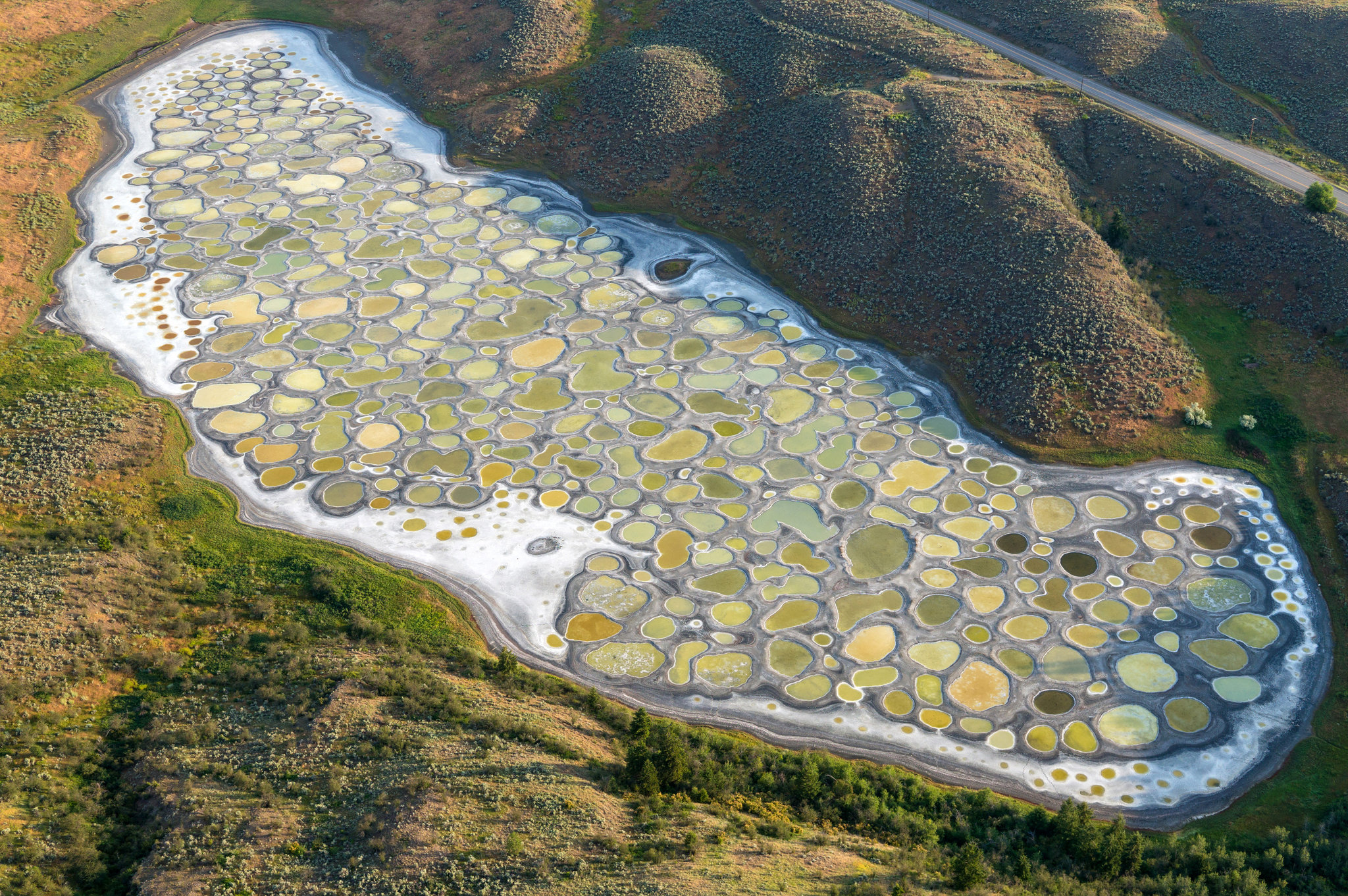 Spotted Lake in Canada HD Wallpaper