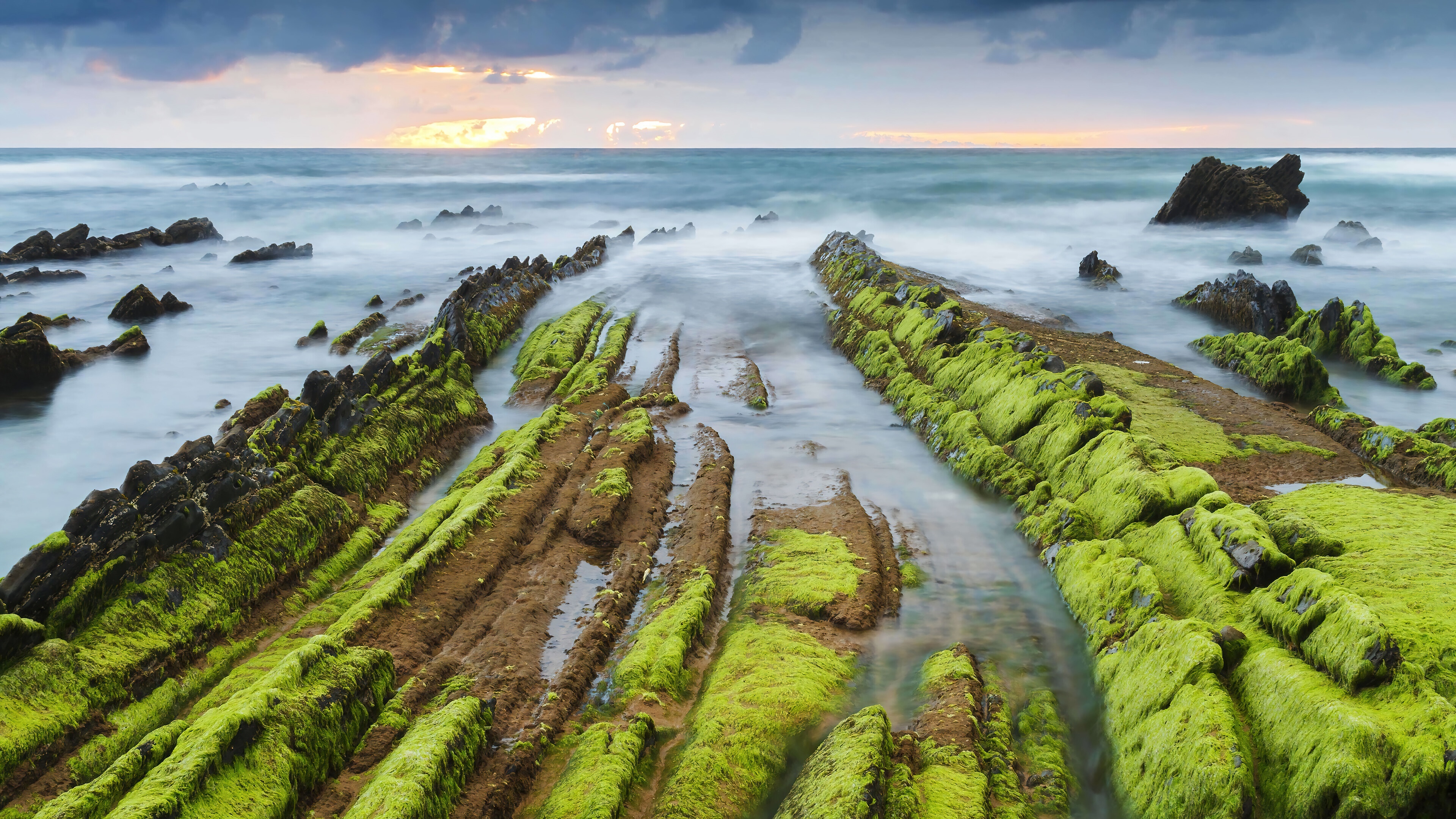 Sunrise over moss-covered rocks on the ocean shore HD Wallpaper