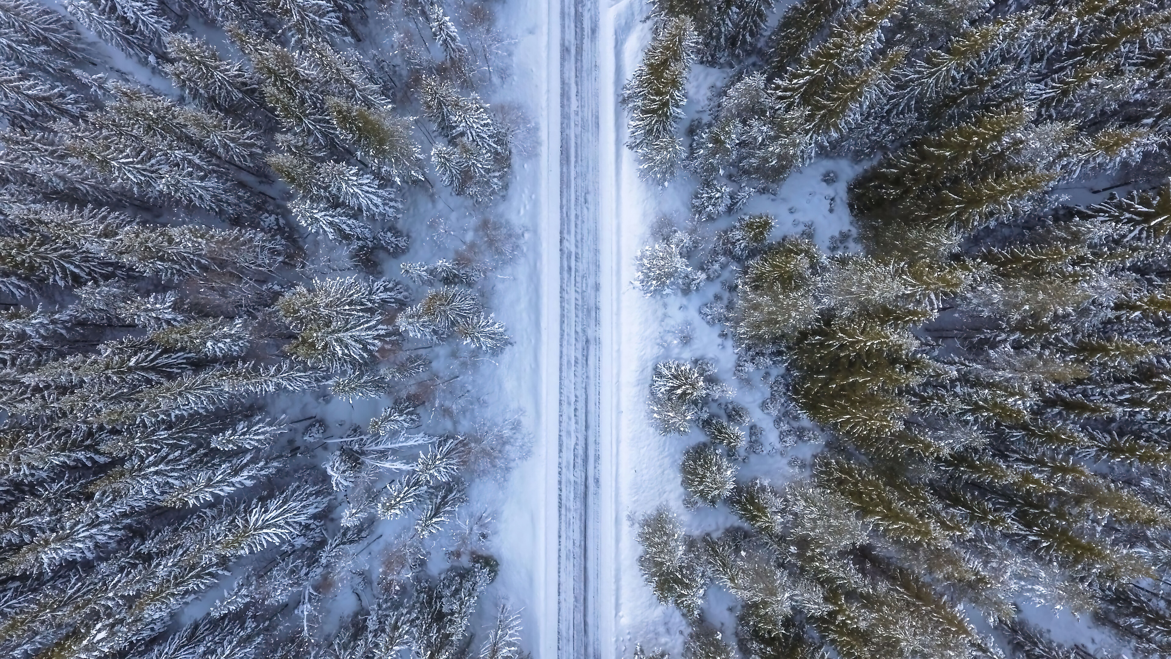Aerial view of a snow-covered forest road in winter HD Wallpaper