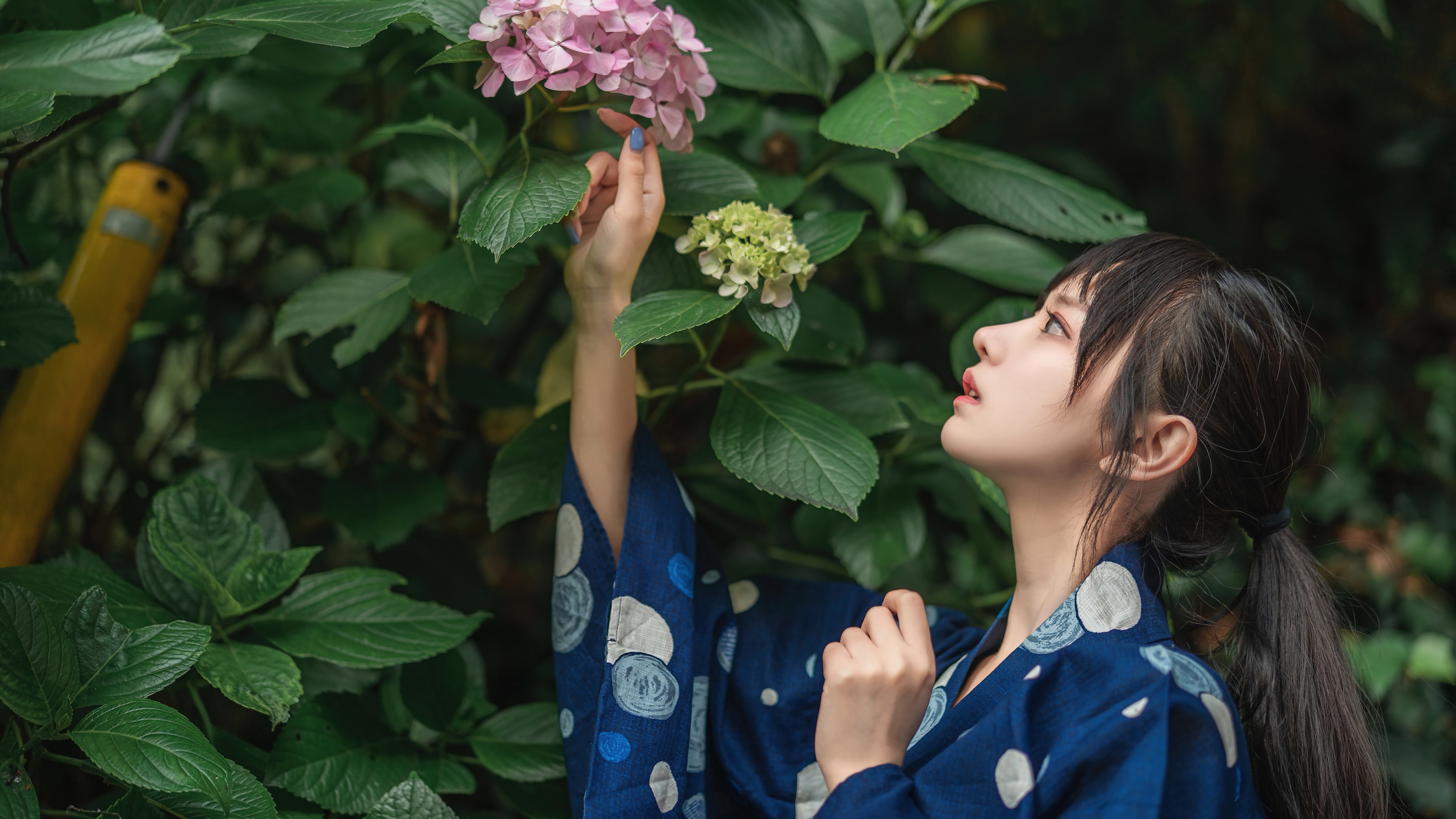 Asian girl in kimono touching flowers HD Wallpaper
