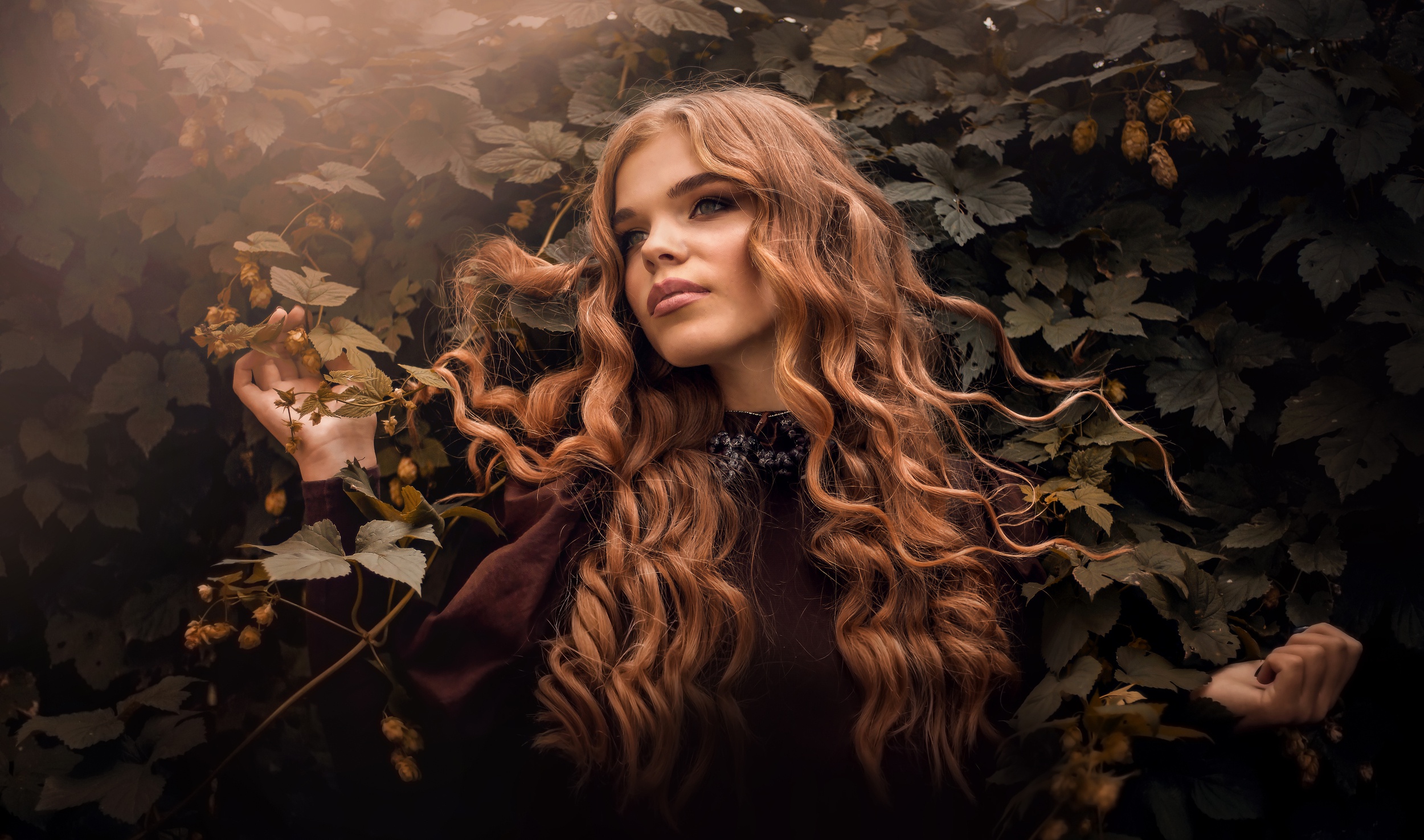 Woman with long curly red hair in nature HD Wallpaper