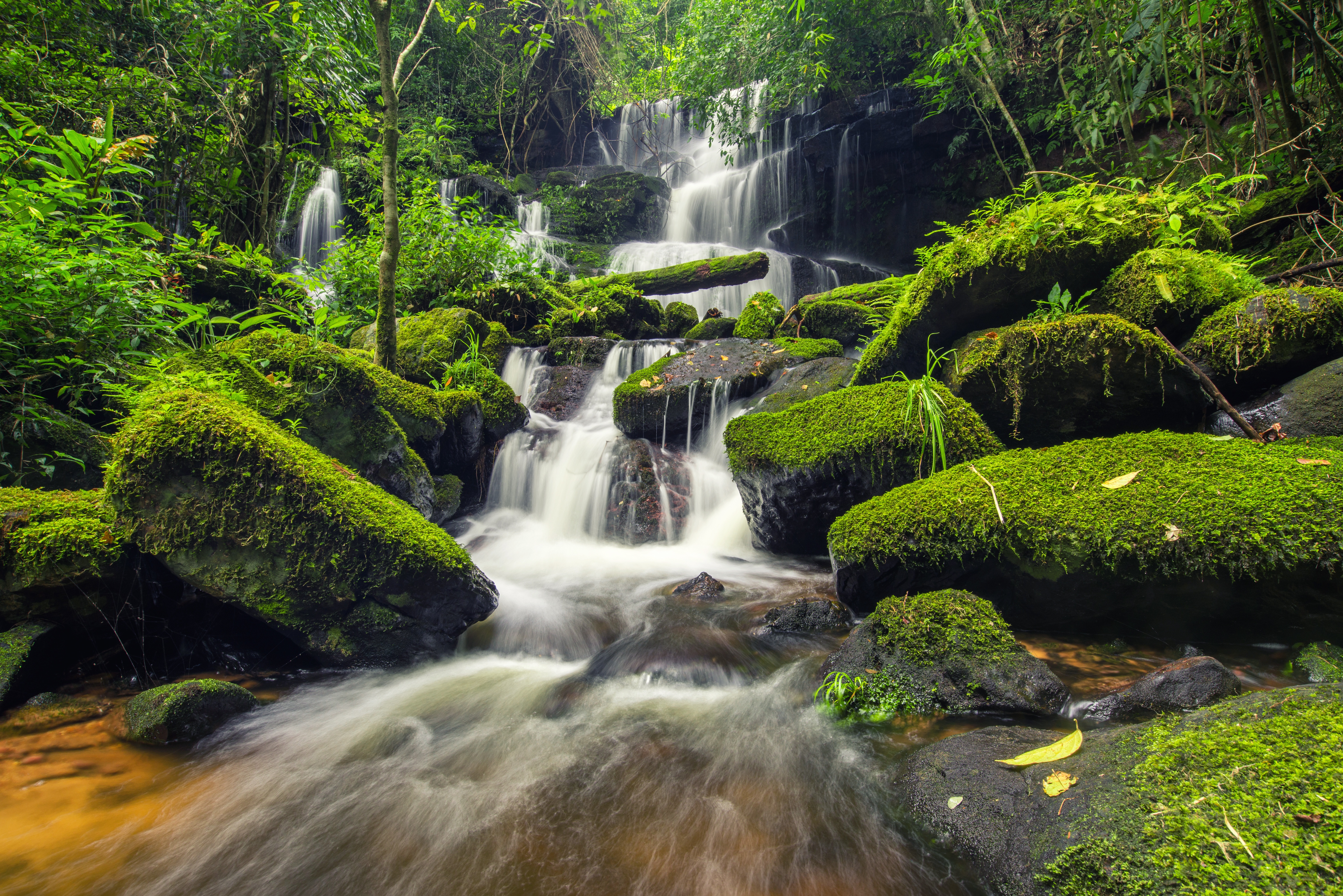 Lush green waterfall in a forest HD Wallpaper
