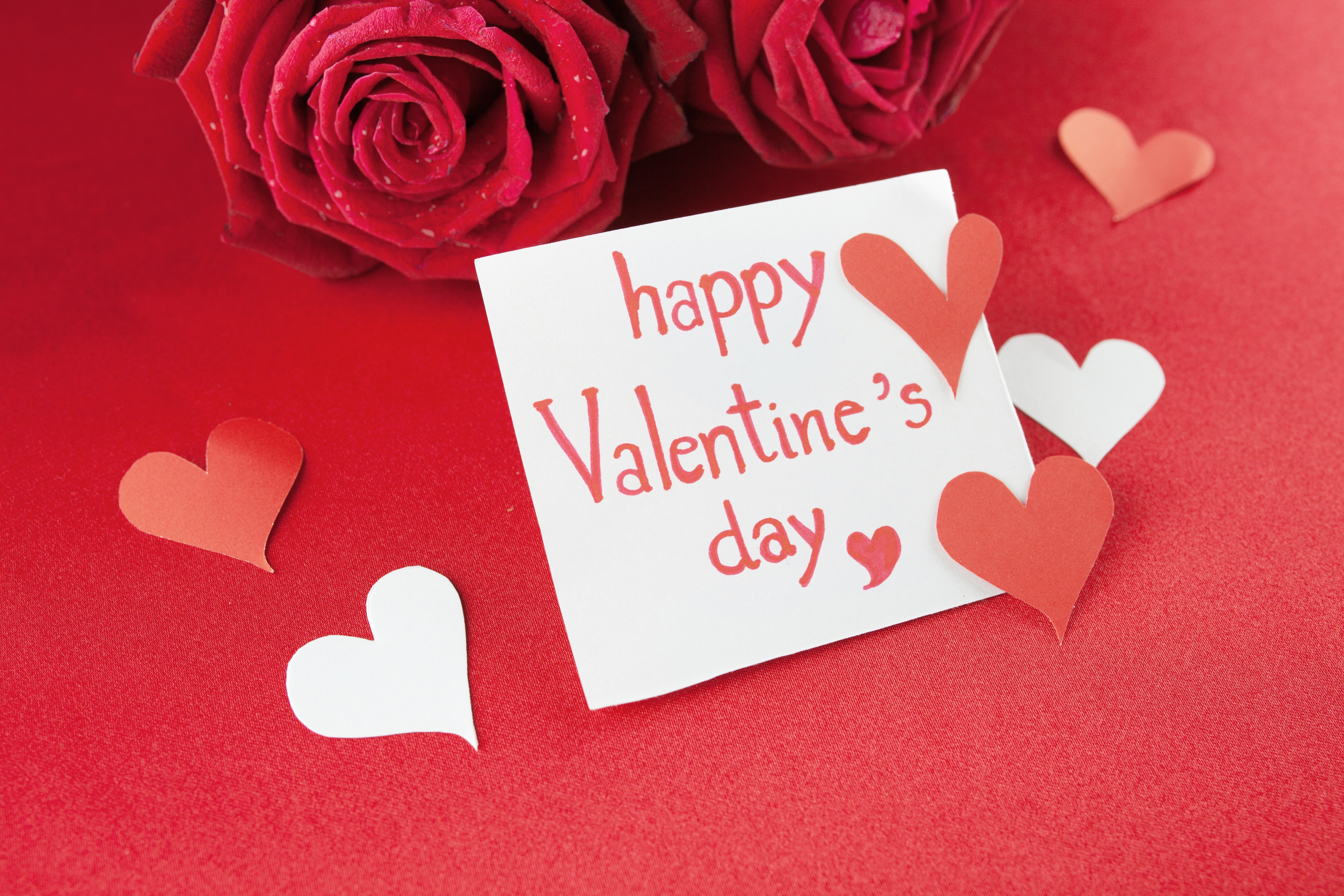 Happy Valentine's Day with Roses and Hearts HD Wallpaper