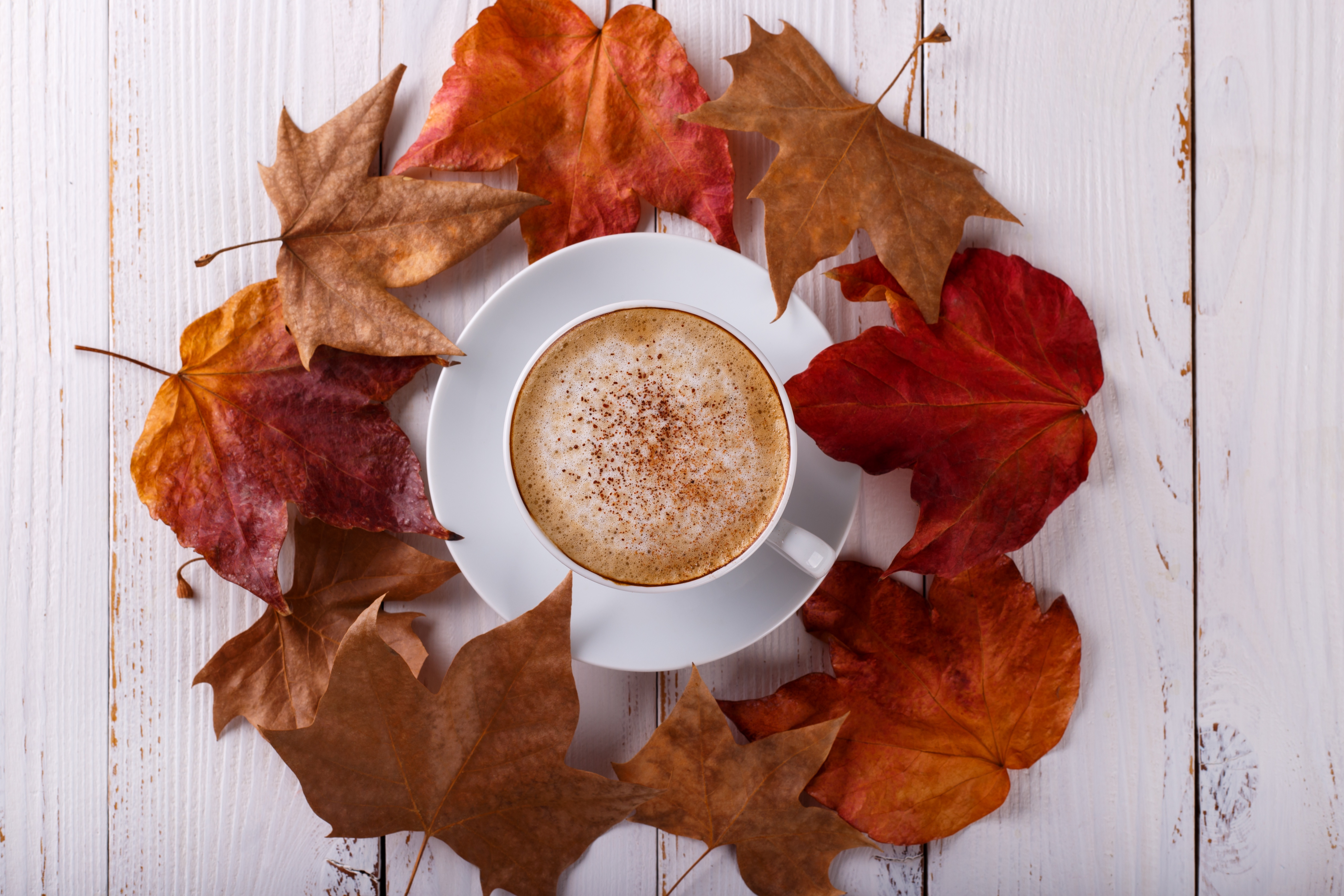 Coffee cup surrounded by autumn leaves HD Wallpaper