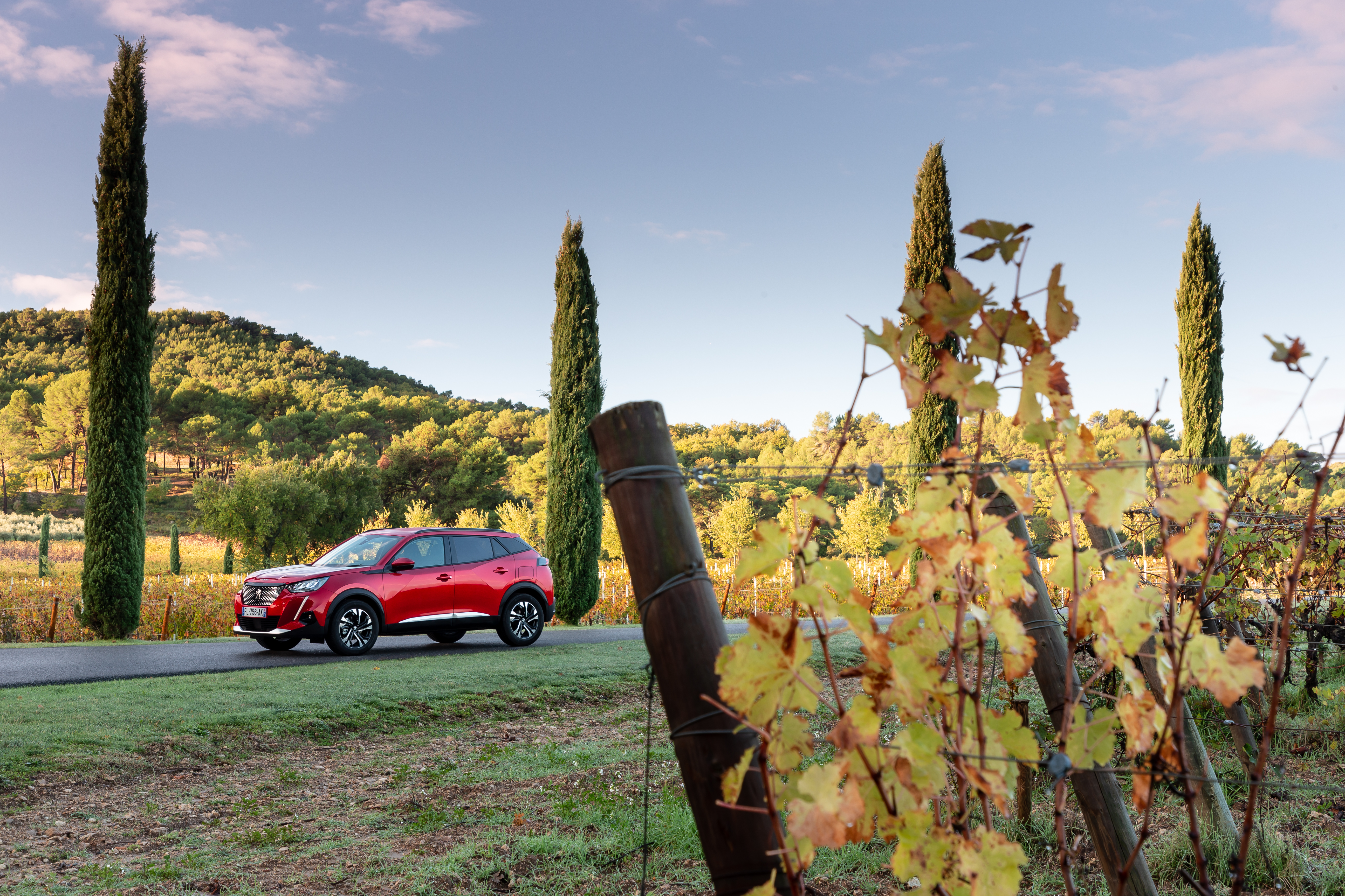 Red Peugeot 2008 SUV driving through vineyard HD Wallpaper