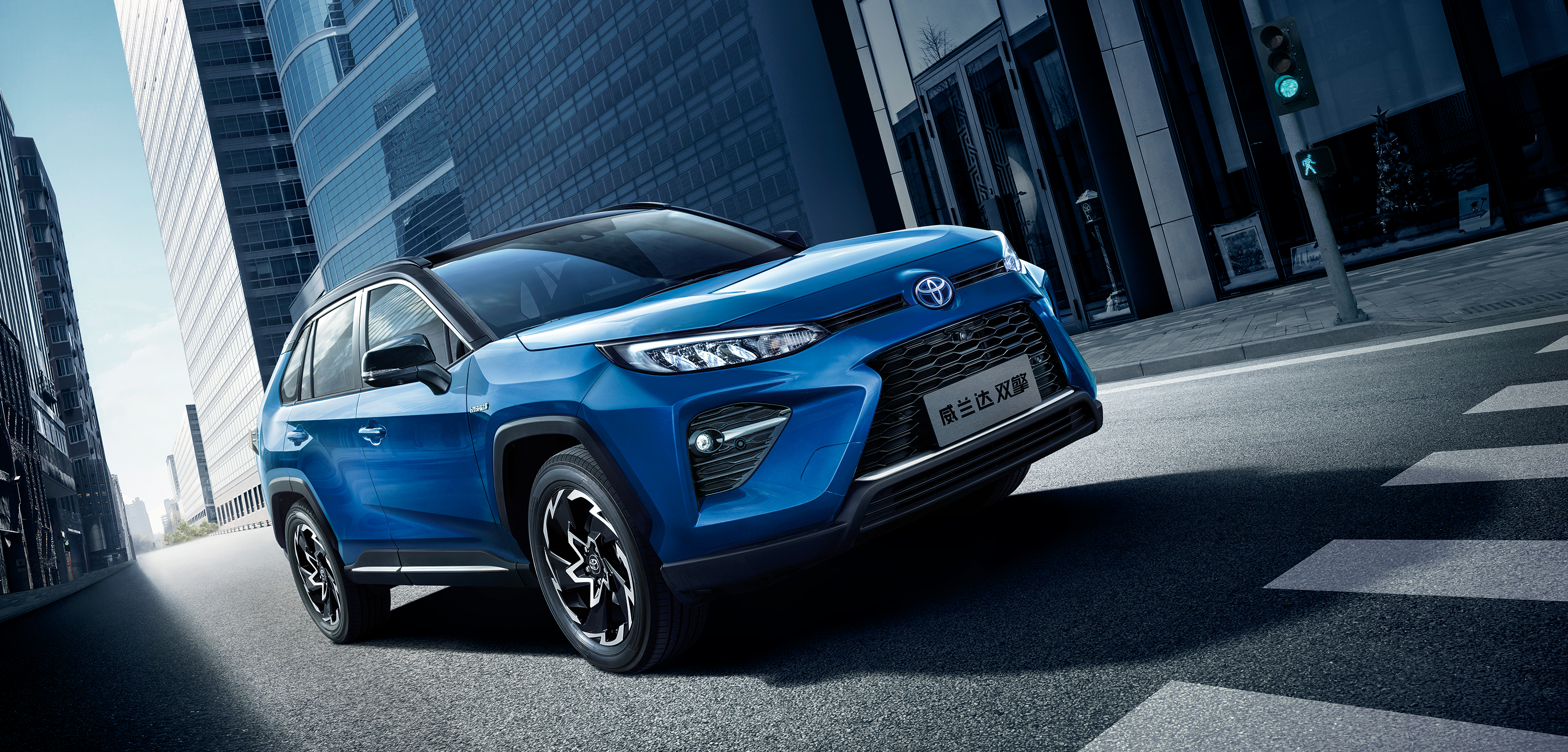 Blue Toyota Wildlander Hybrid SUV driving in city HD Wallpaper