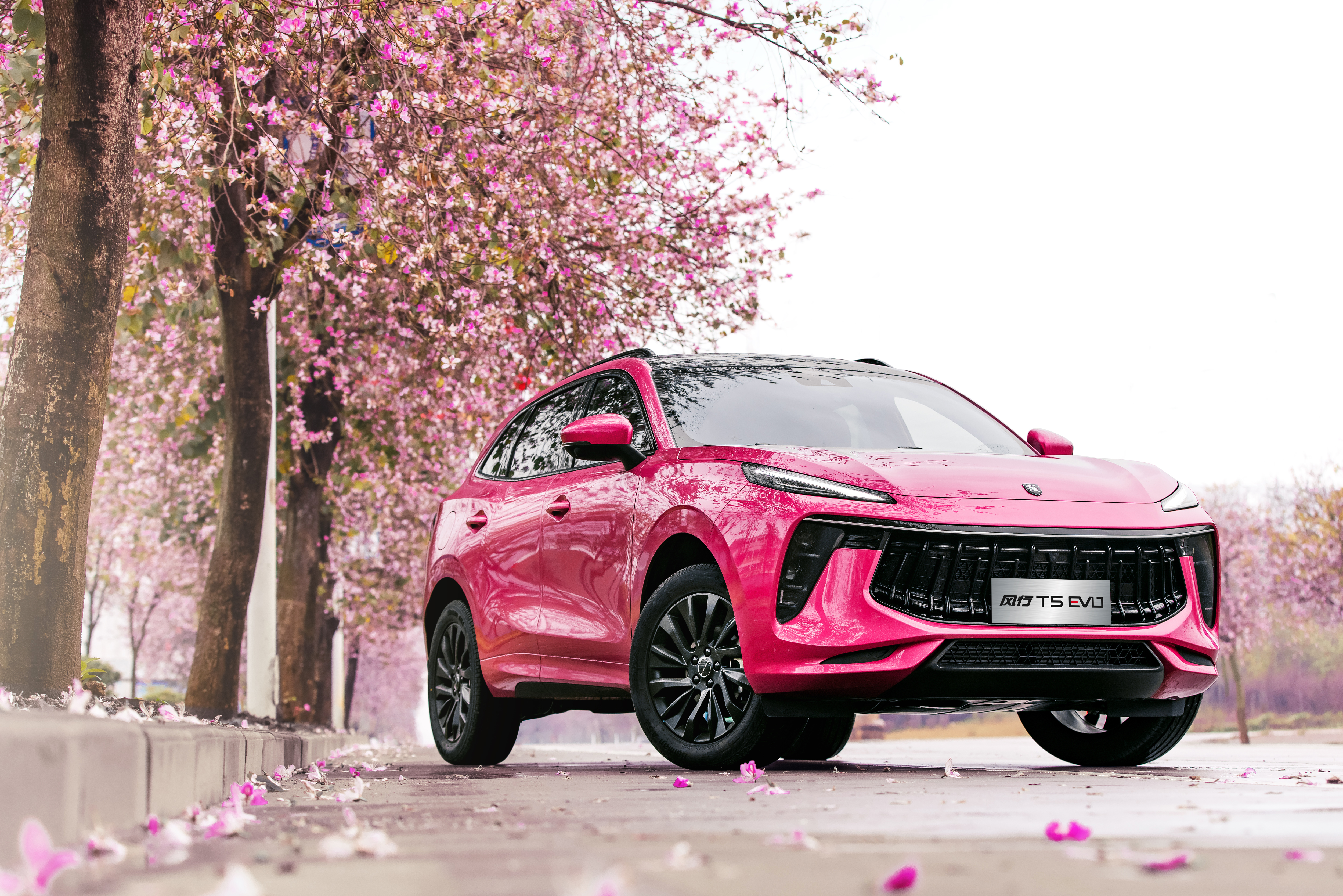 2021 Dongfeng Forthing T5 EVO SUV HD Wallpaper