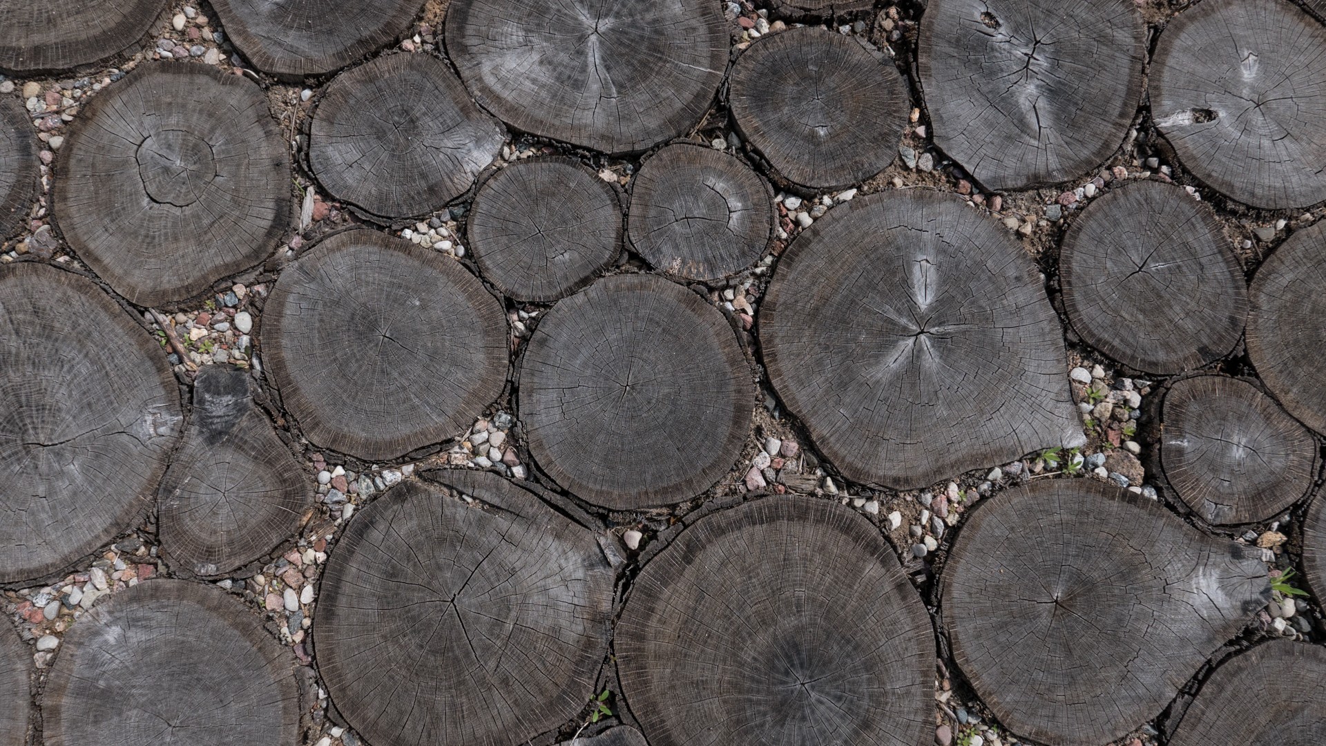 Wood log pathway with gravel HD Wallpaper