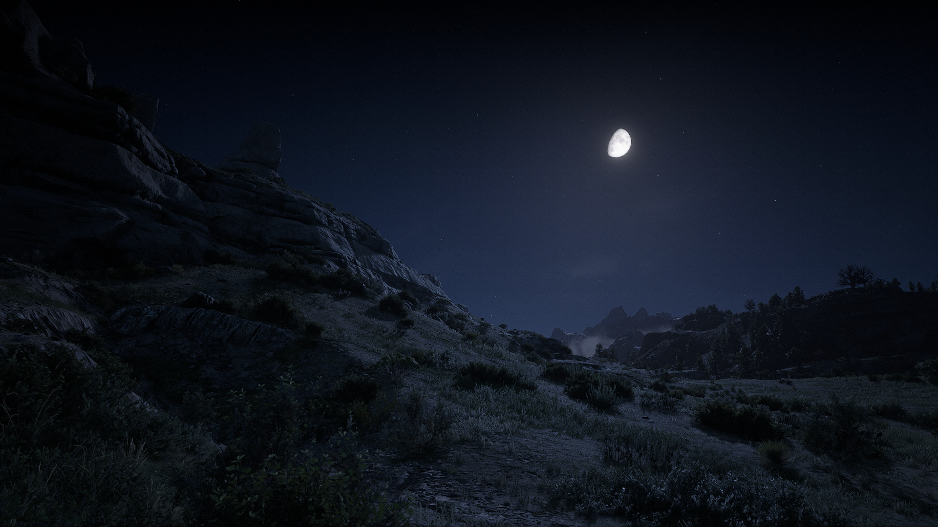 Moonlit night landscape in Red Dead Redemption 2 HD Wallpaper