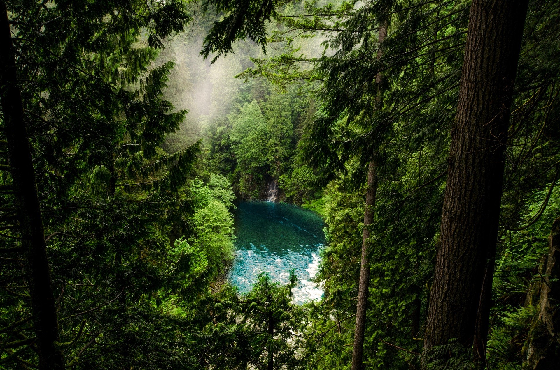 Misty forest with a blue lake HD Wallpaper