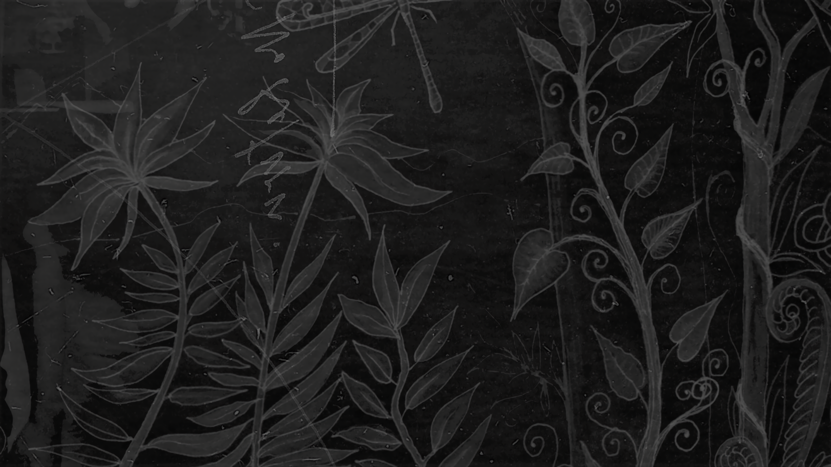 Monochrome illustration of plants and a dragonfly HD Wallpaper