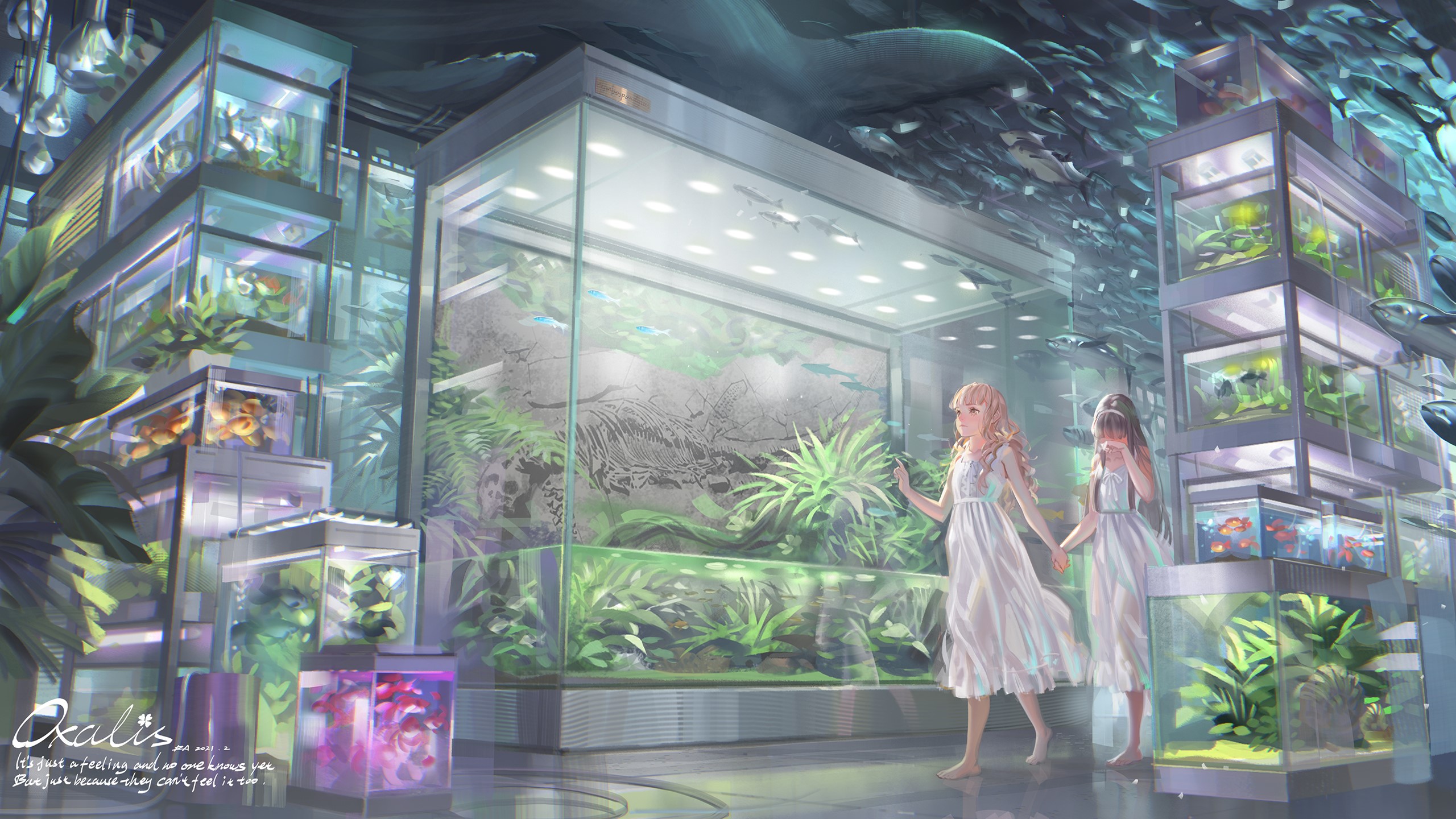Two anime girls in an aquarium with fish tanks HD Wallpaper