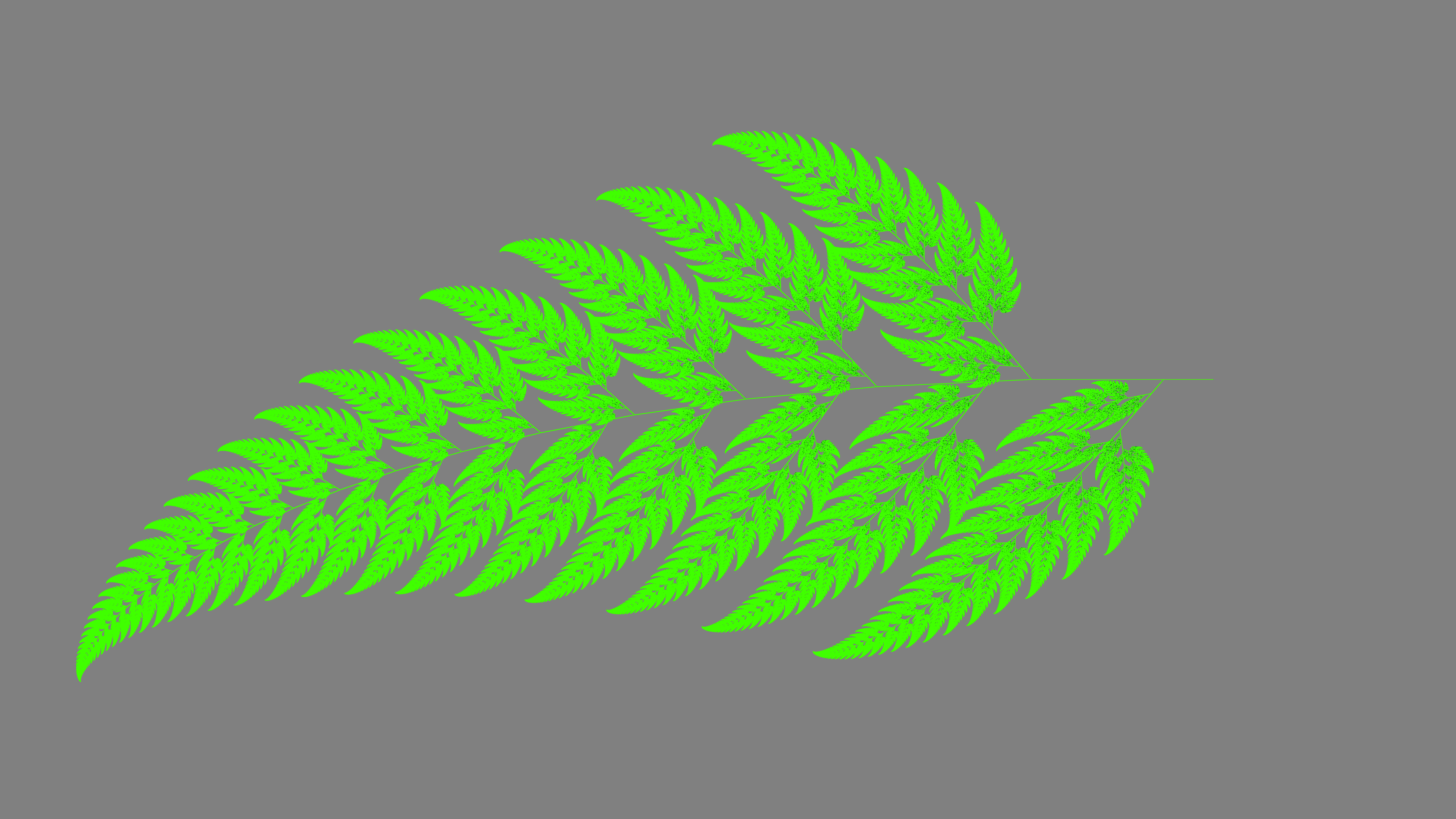 Green fern fractal on gray background HD Wallpaper