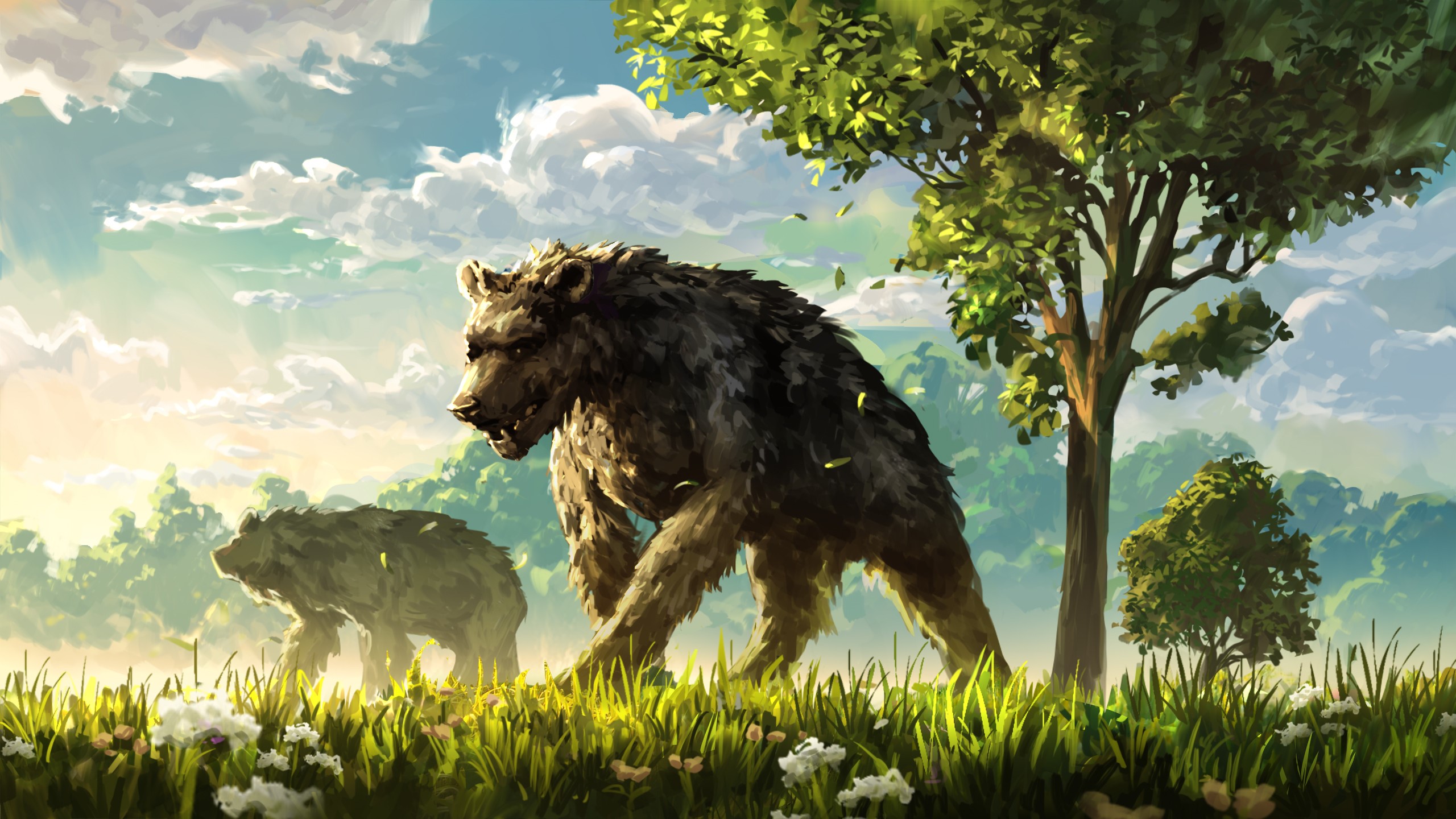 Two bears walking in a grassy field with trees HD Wallpaper