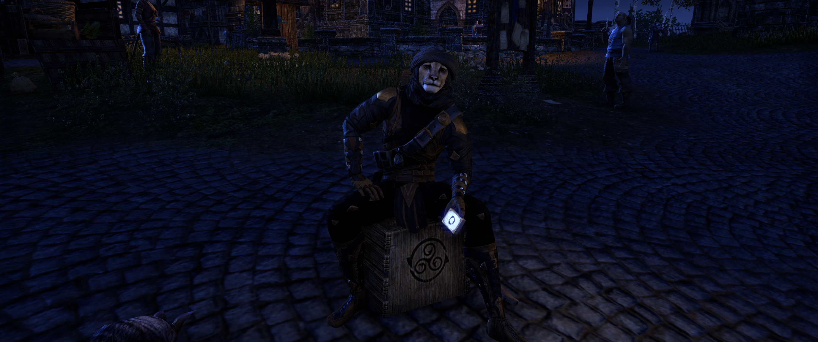 Khajiit character sitting on a crate in a video game HD Wallpaper