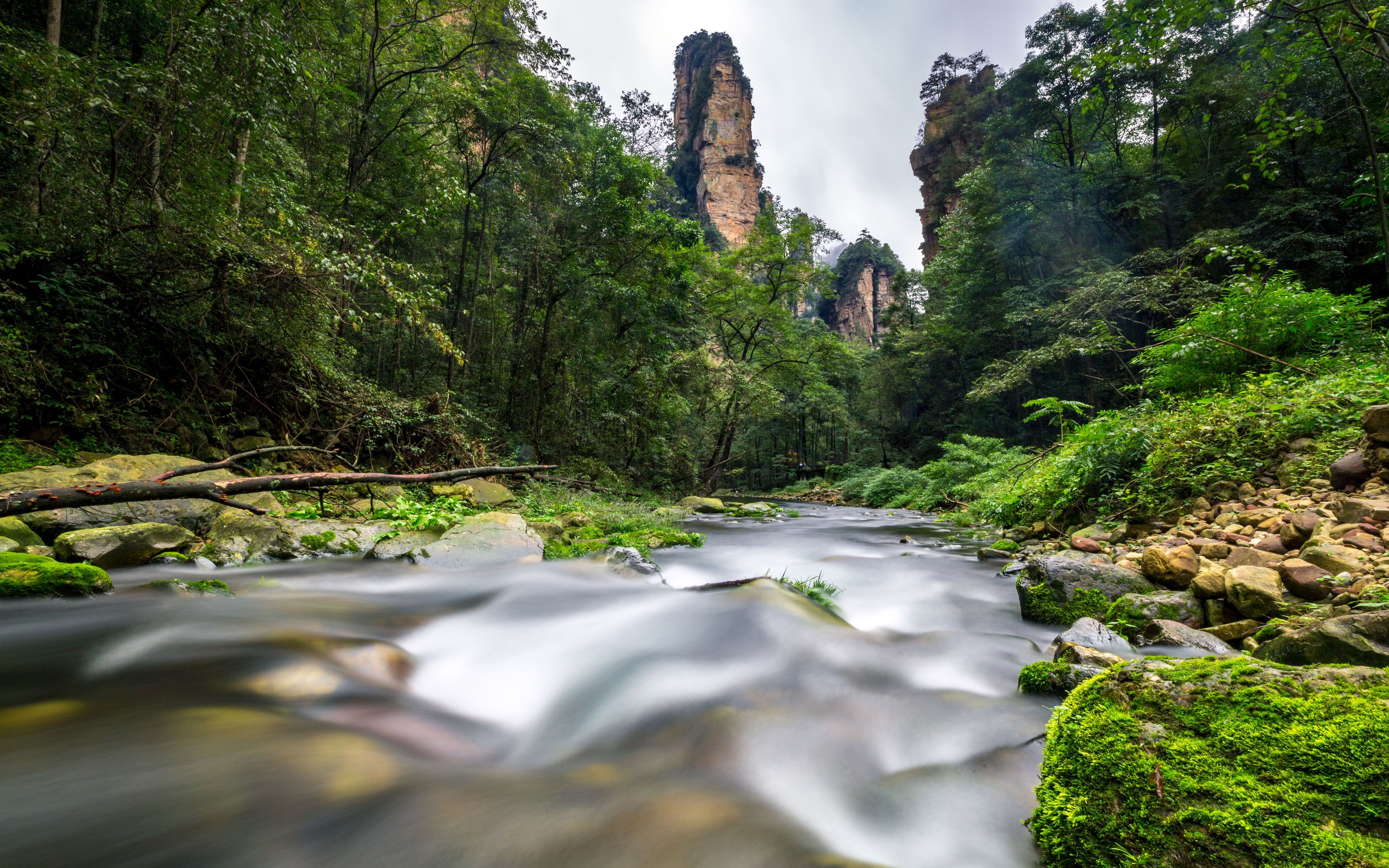 4K forest river with rock formations HD Wallpaper