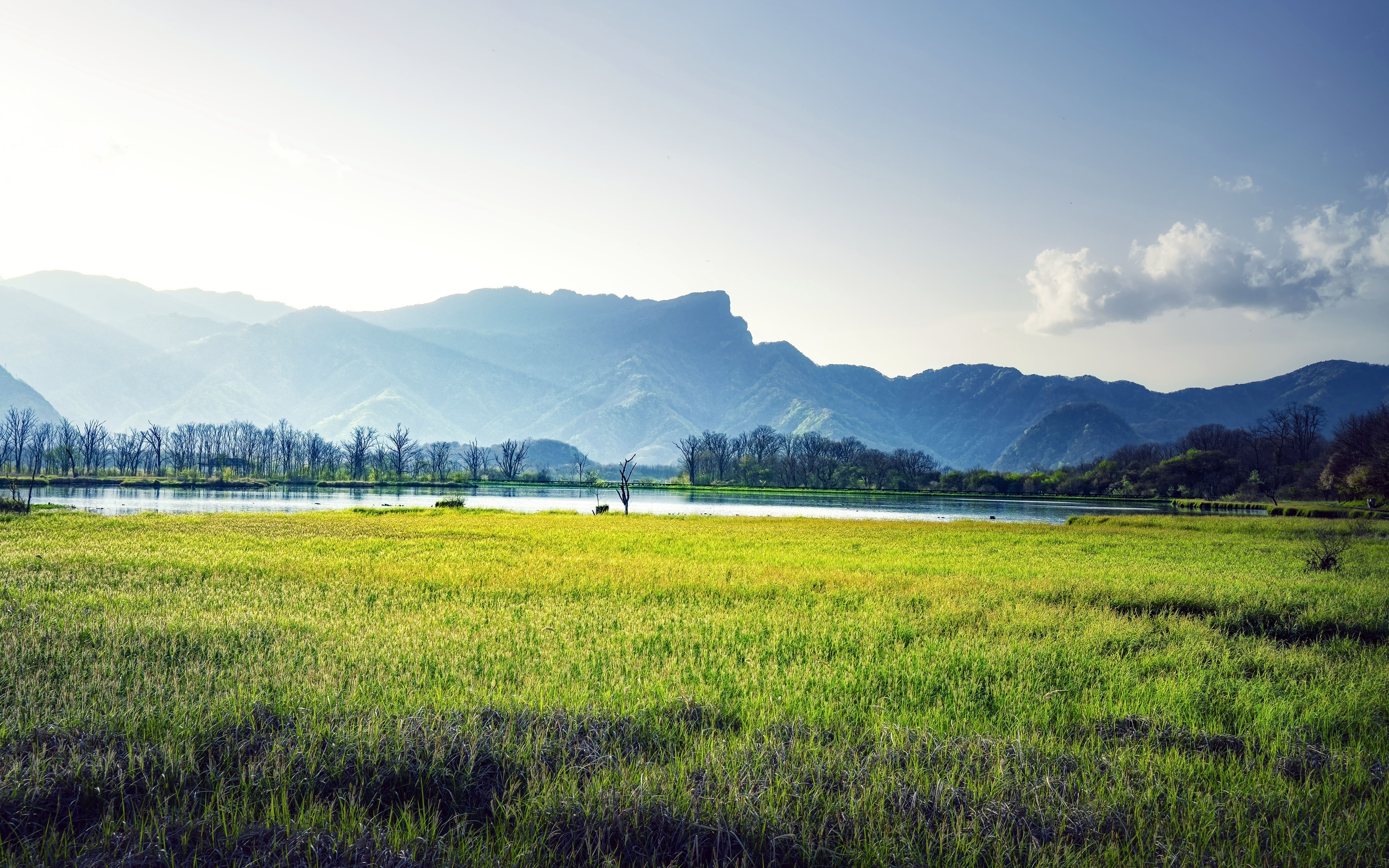 4K landscape of mountains, trees, and a lake HD Wallpaper