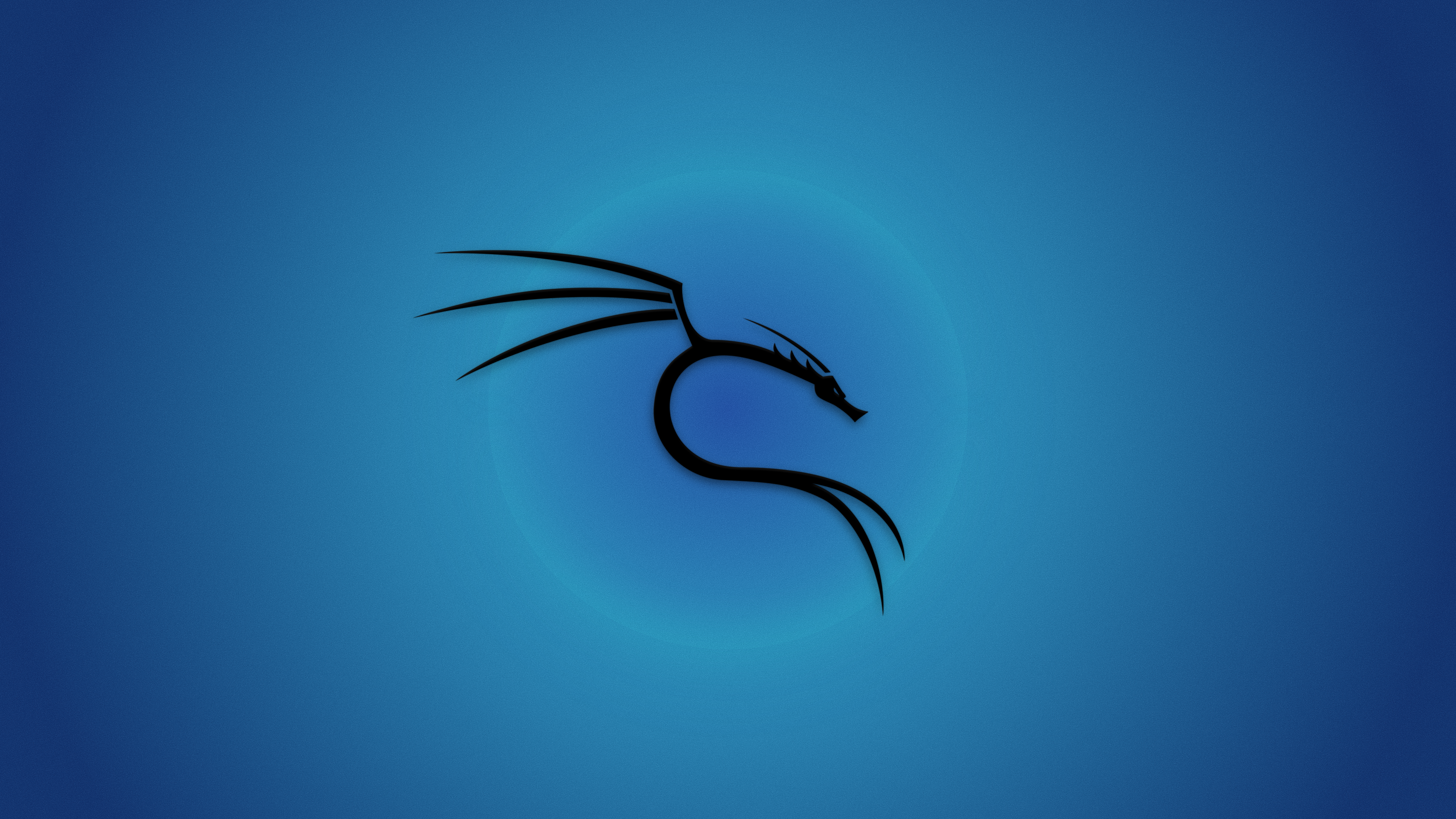 Kali Linux logo on blue background HD Wallpaper