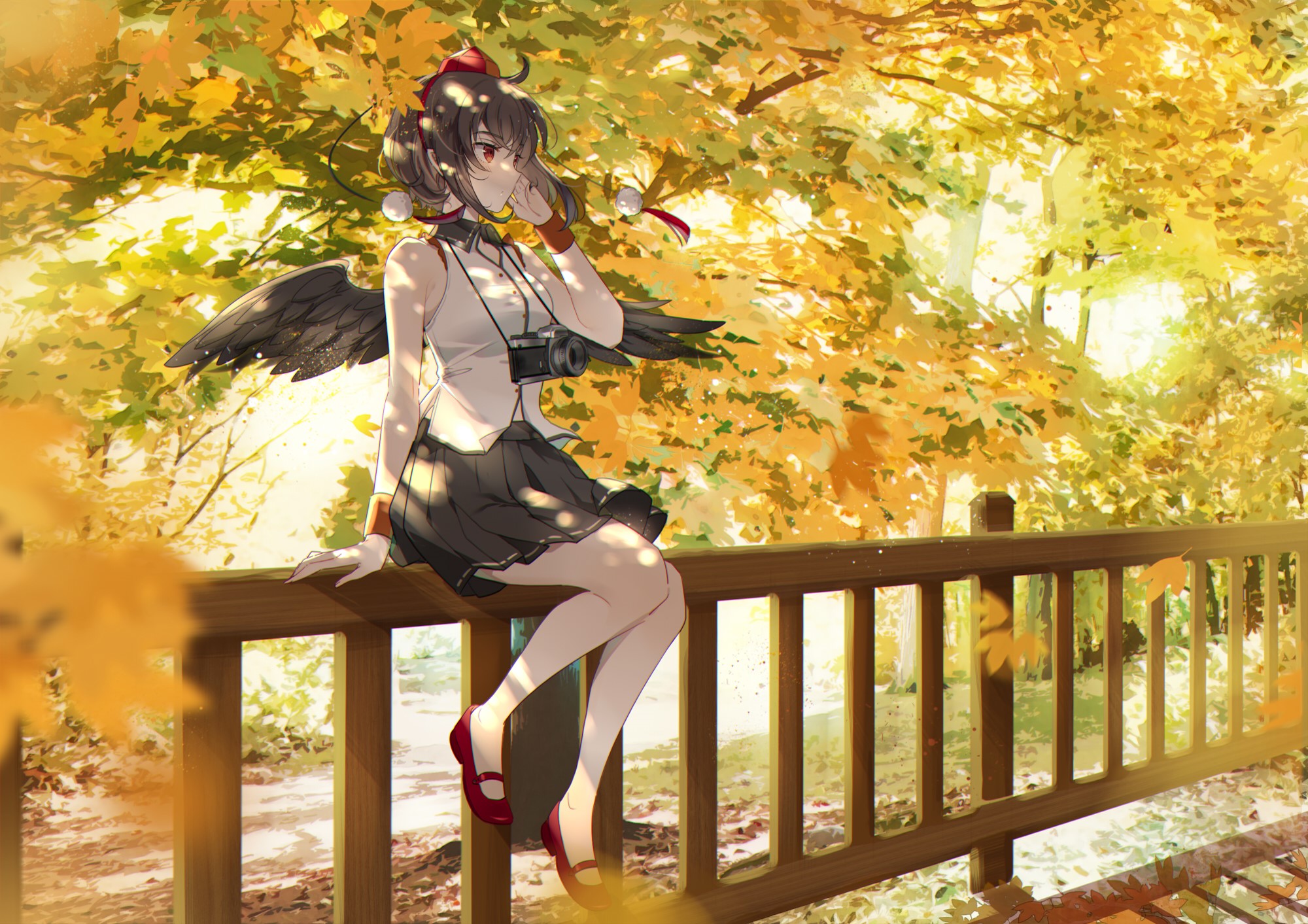 Shameimaru Aya from Touhou in Fall HD Wallpaper