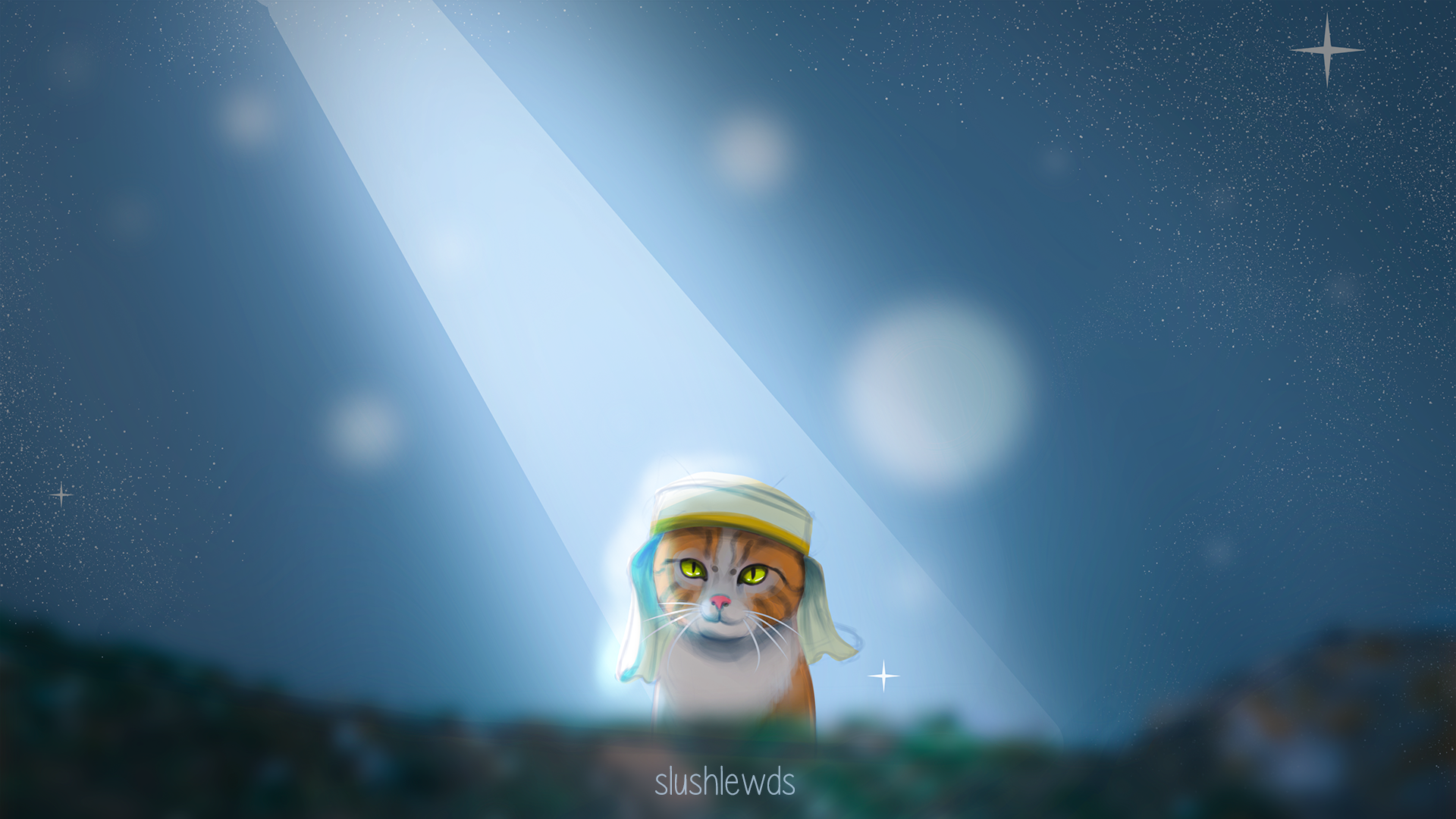 Cat wearing a turban under crepuscular rays HD Wallpaper