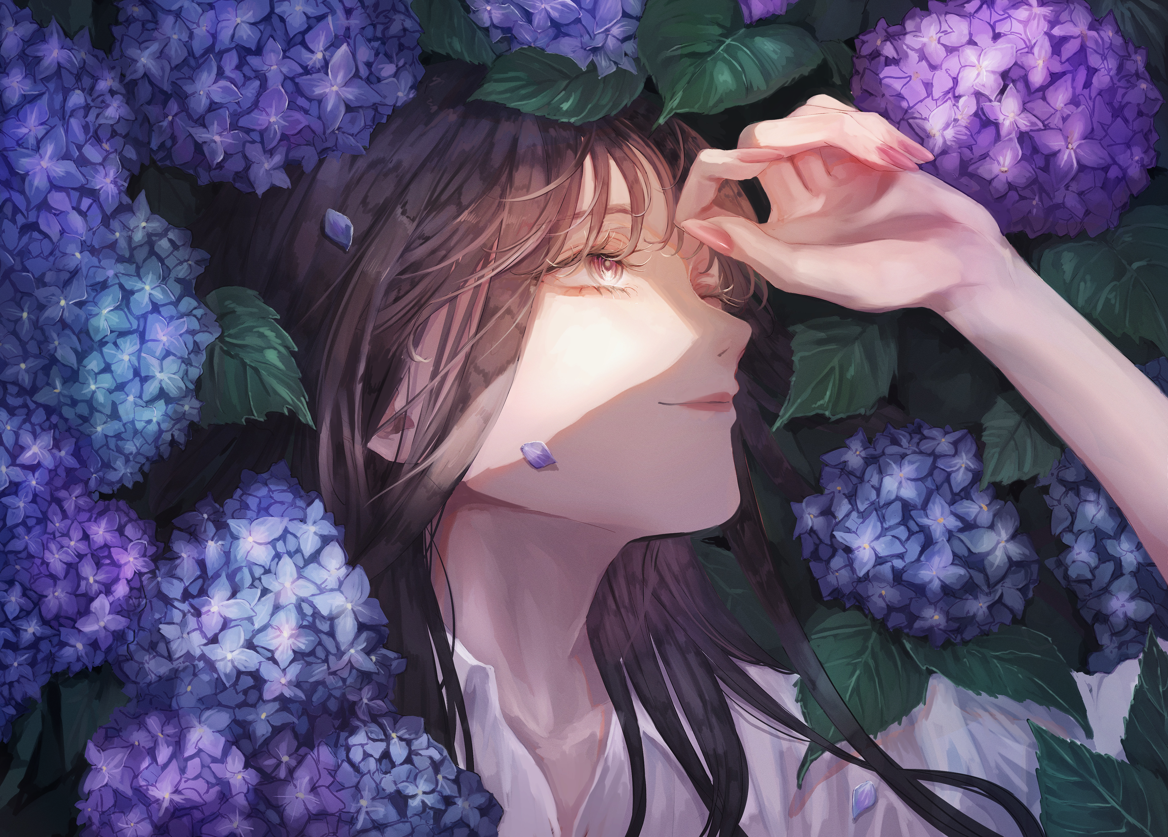 Anime girl with purple hydrangeas HD Wallpaper