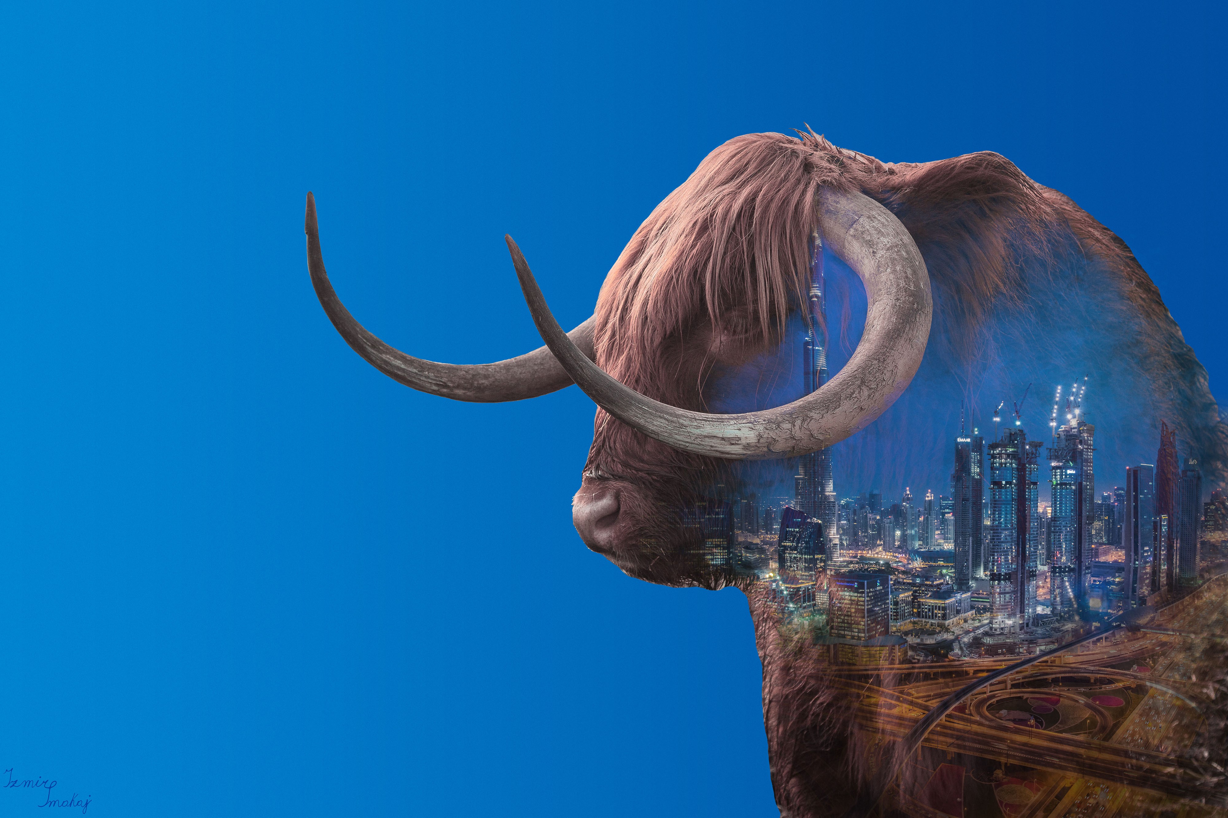 4K Dubai Bull Double Exposure HD Wallpaper