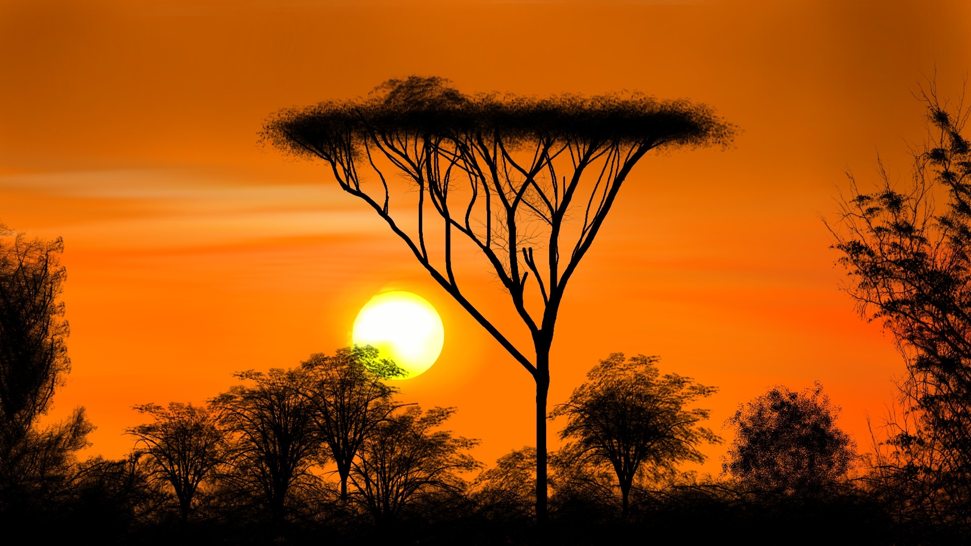 Digital painting of an African savanna sunset with acacia trees HD Wallpaper