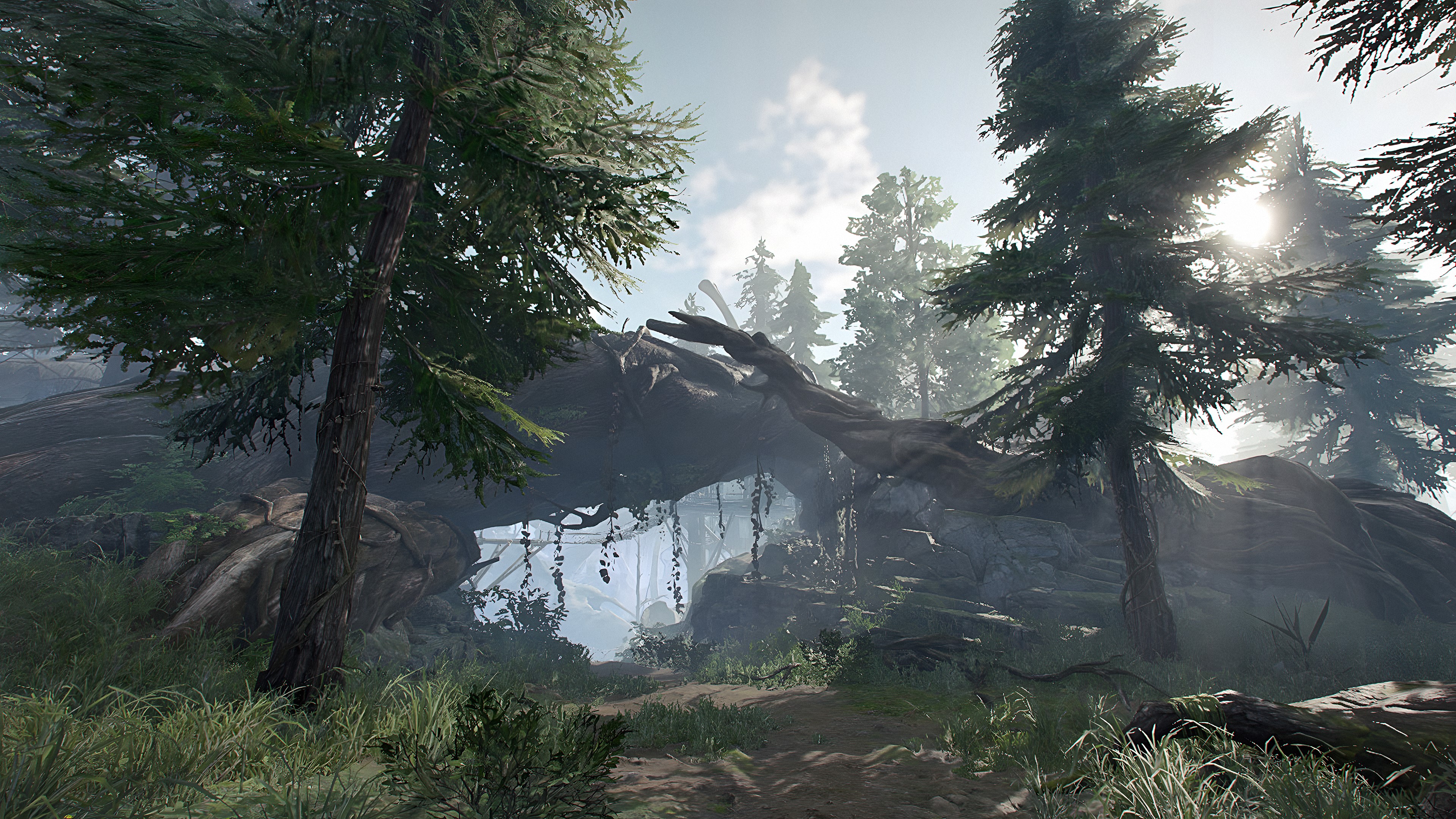 4K Naraka: Bladepoint Forest Environment HD Wallpaper
