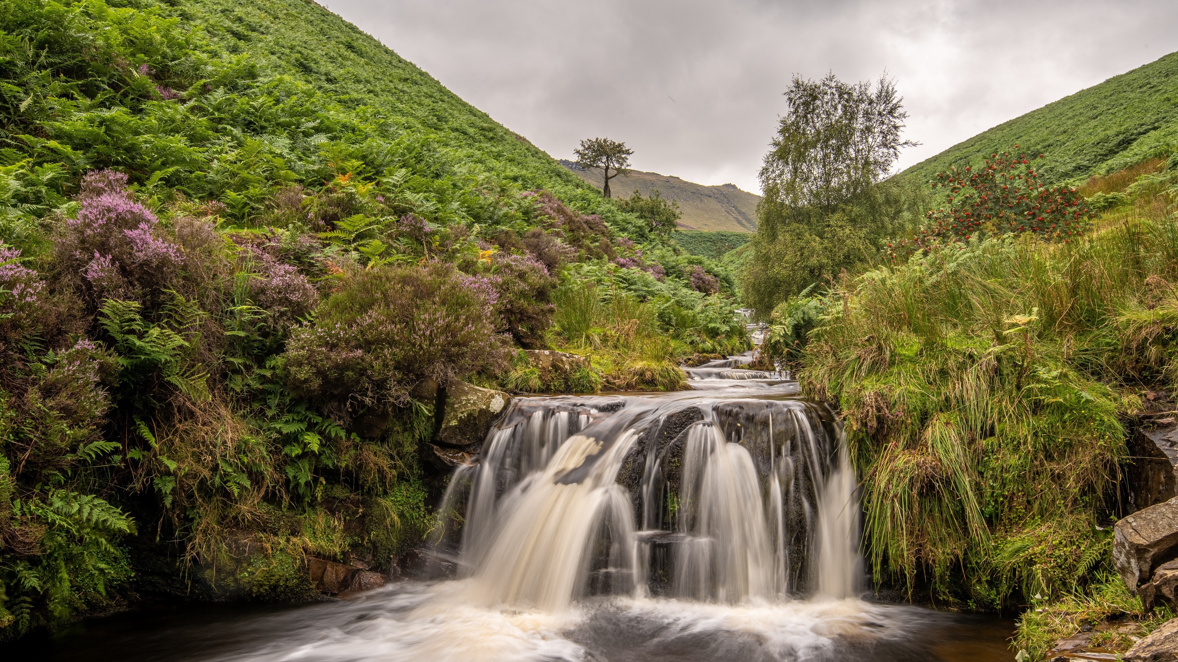 Waterfall in a green valley with heather and ferns HD Wallpaper