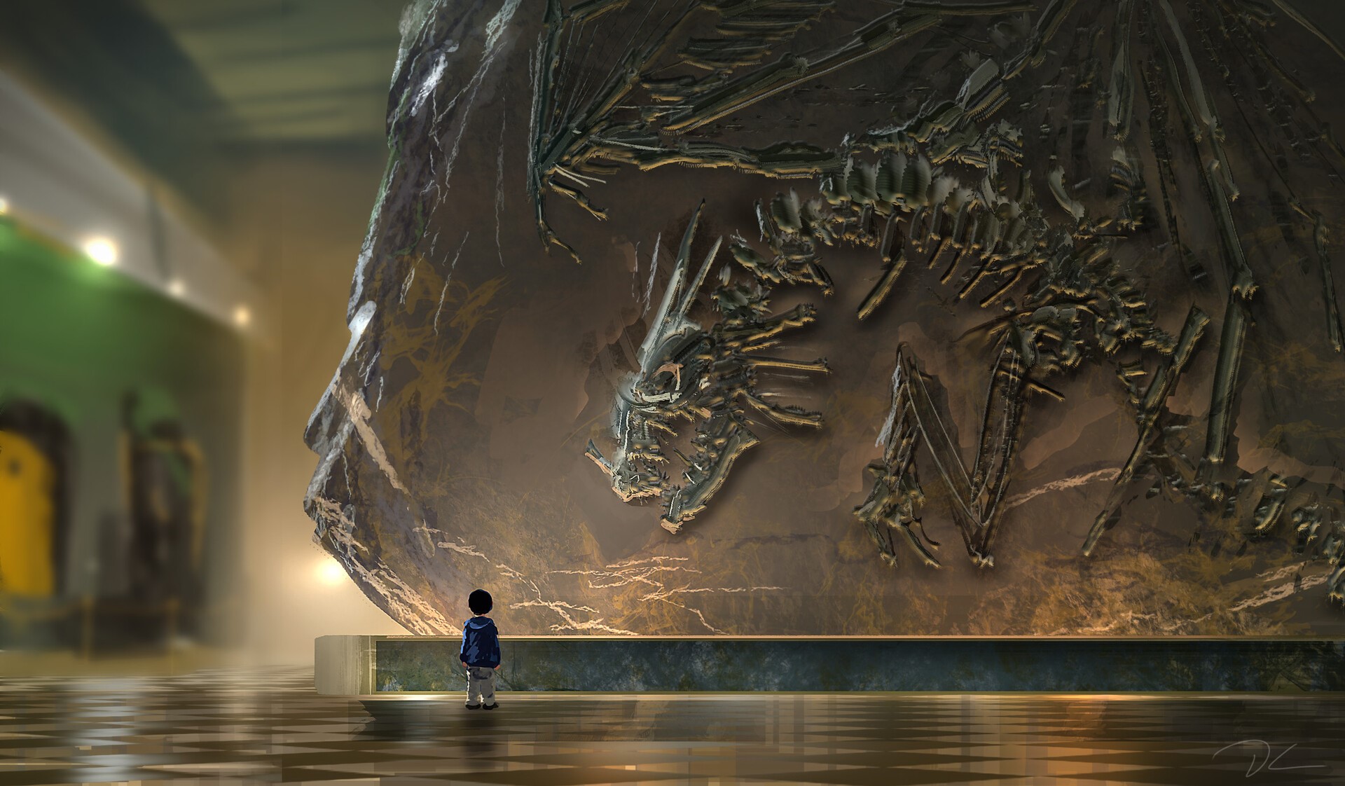 Child looking at a dragon fossil in a museum HD Wallpaper