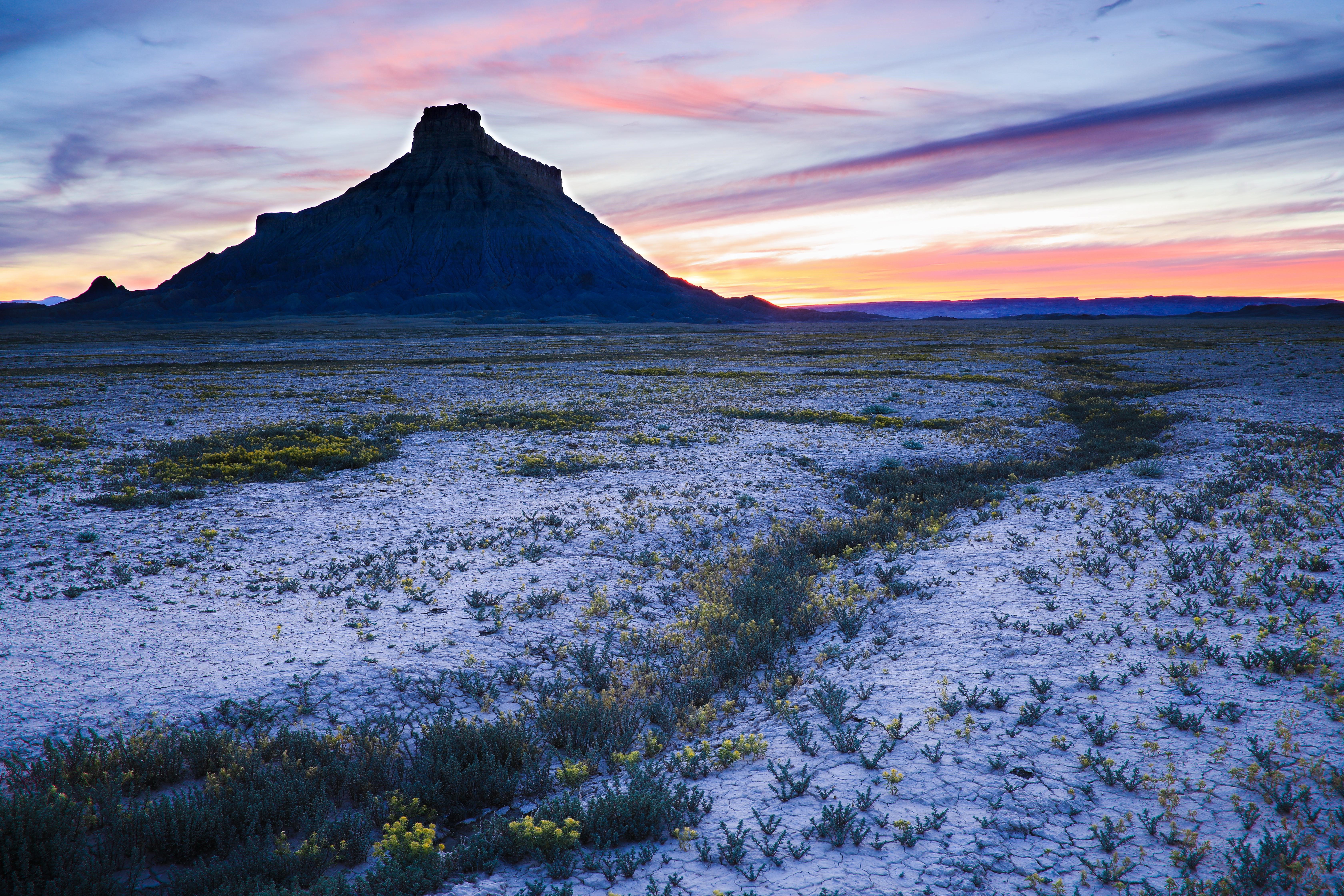 4K, sunset, flowers, Badlands (nature), nature, Utah, USA, landscape HD Wallpaper