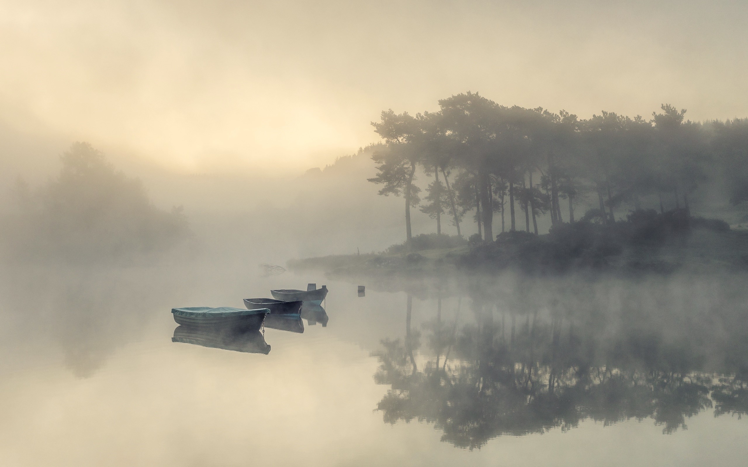 vehicle, calm waters, trees, nature, outdoors, sunlight, water, boat HD Wallpaper