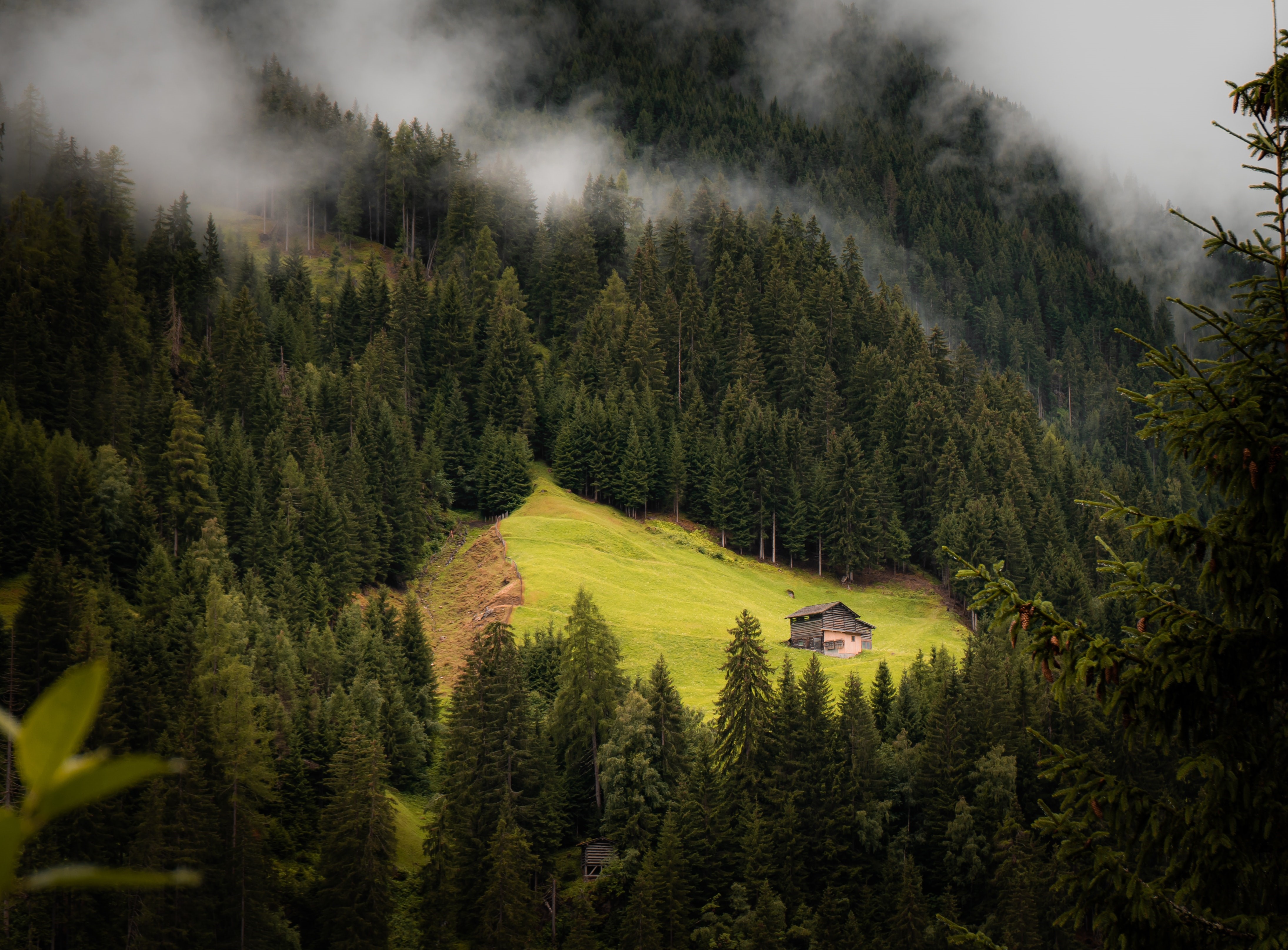 4K, nature, forest, Farm House, landscape, trees HD Wallpaper