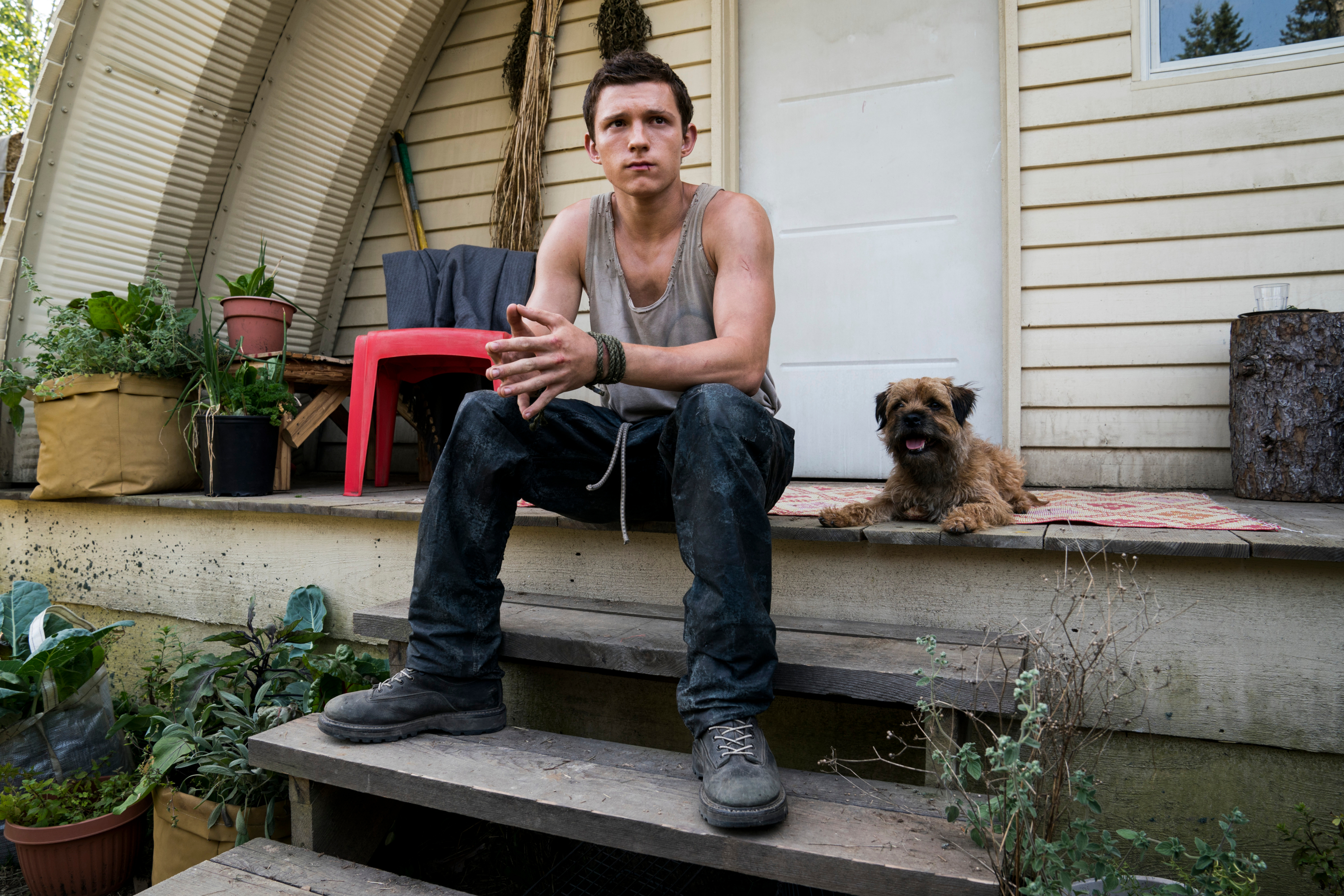 Tom Holland as Todd Hewitt with dog HD Wallpaper