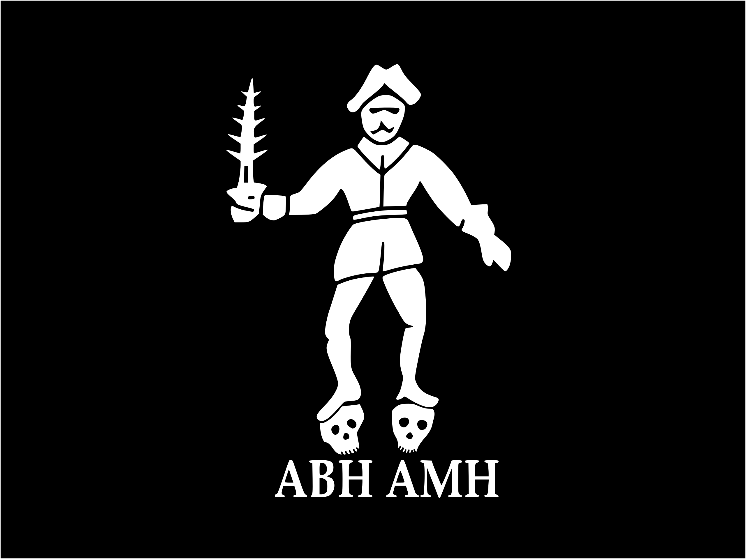 pirates, Pirate Flag, black bart, flag, skull HD Wallpaper